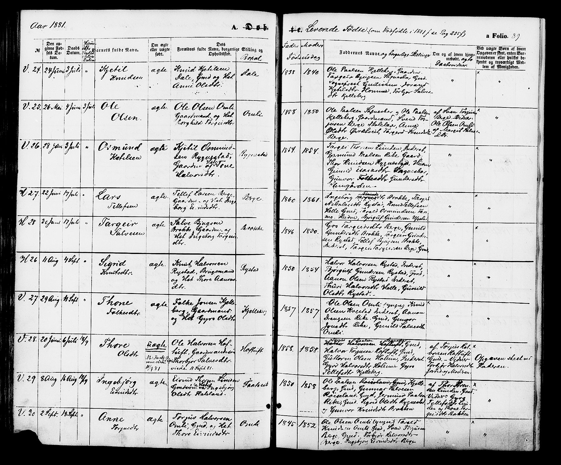 Valle sokneprestkontor, AV/SAK-1111-0044/F/Fa/Fac/L0008: Parish register (official) no. A 8, 1868-1882, p. 89