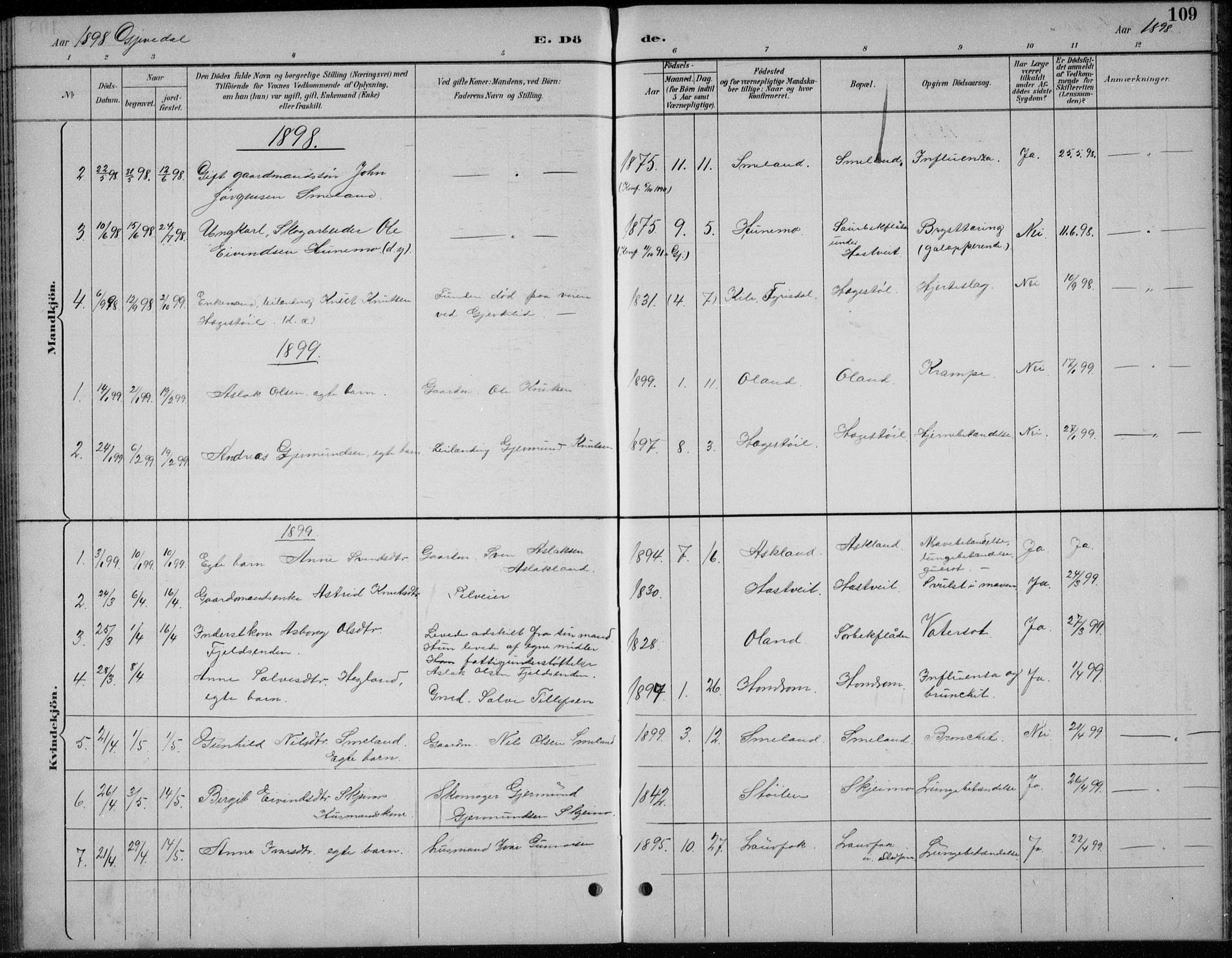 Åmli sokneprestkontor, AV/SAK-1111-0050/F/Fb/Fba/L0002: Parish register (copy) no. B 2, 1890-1912, p. 109