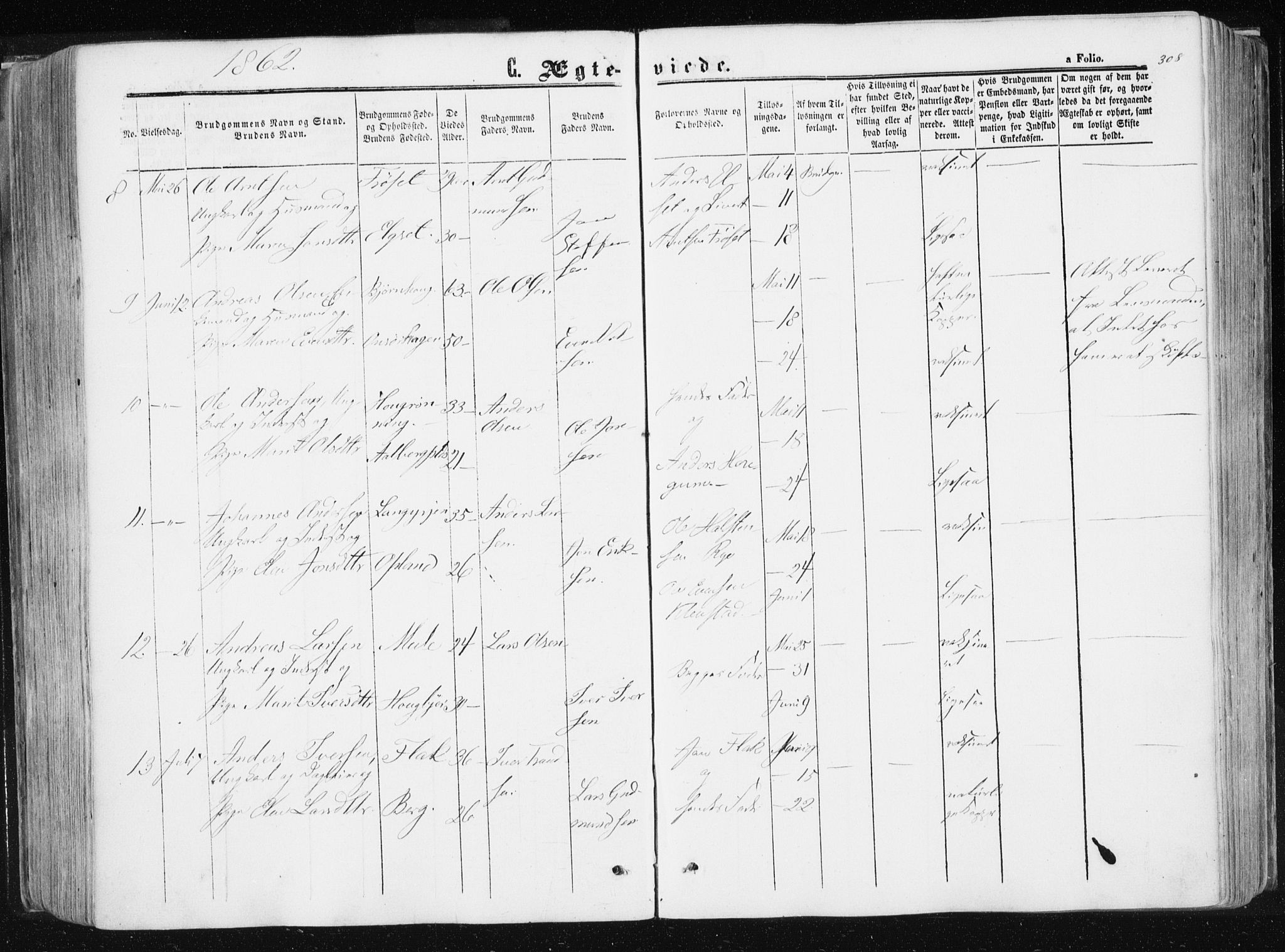 Ministerialprotokoller, klokkerbøker og fødselsregistre - Sør-Trøndelag, SAT/A-1456/612/L0377: Parish register (official) no. 612A09, 1859-1877, p. 308