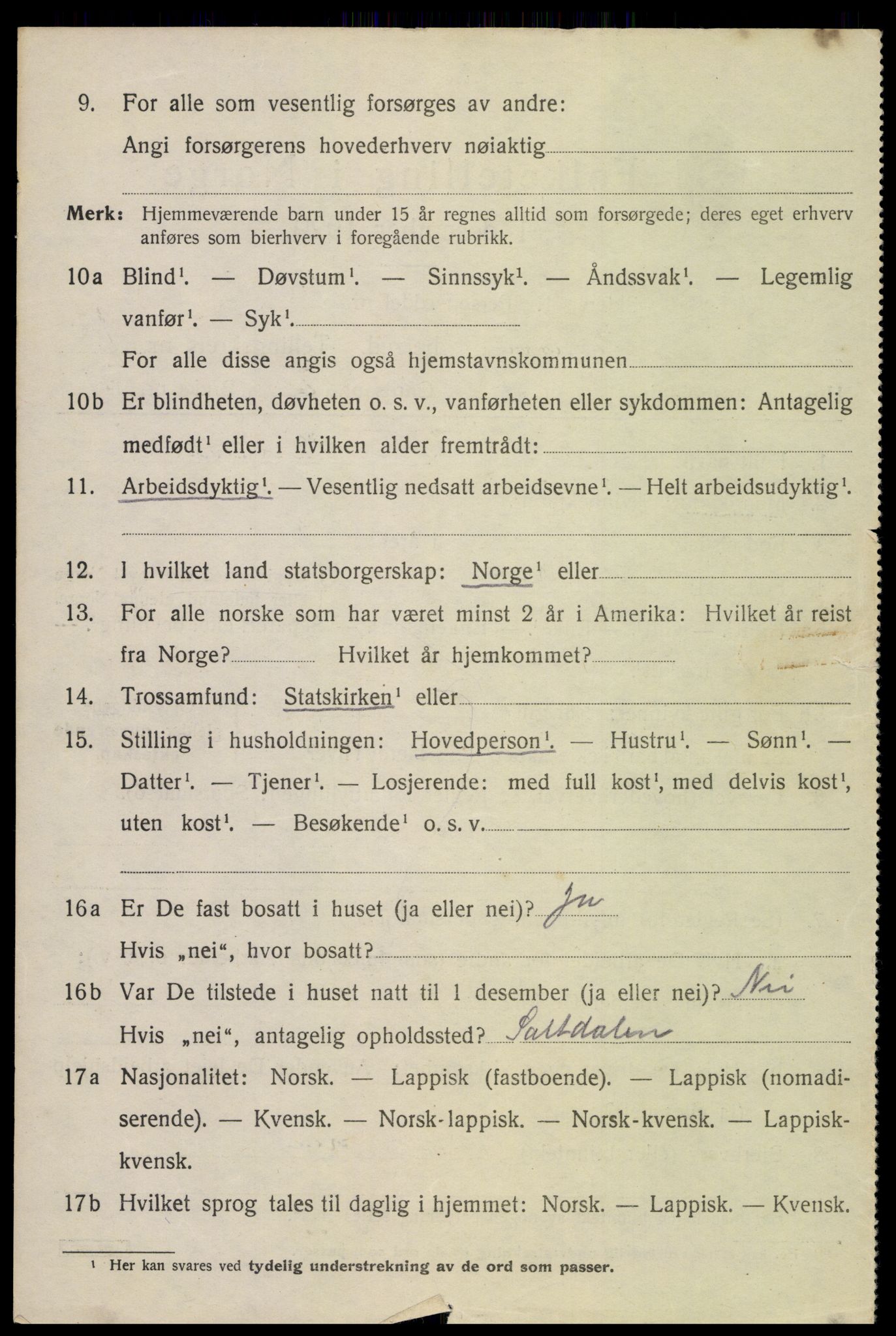 SAT, 1920 census for Bodin, 1920, p. 1869