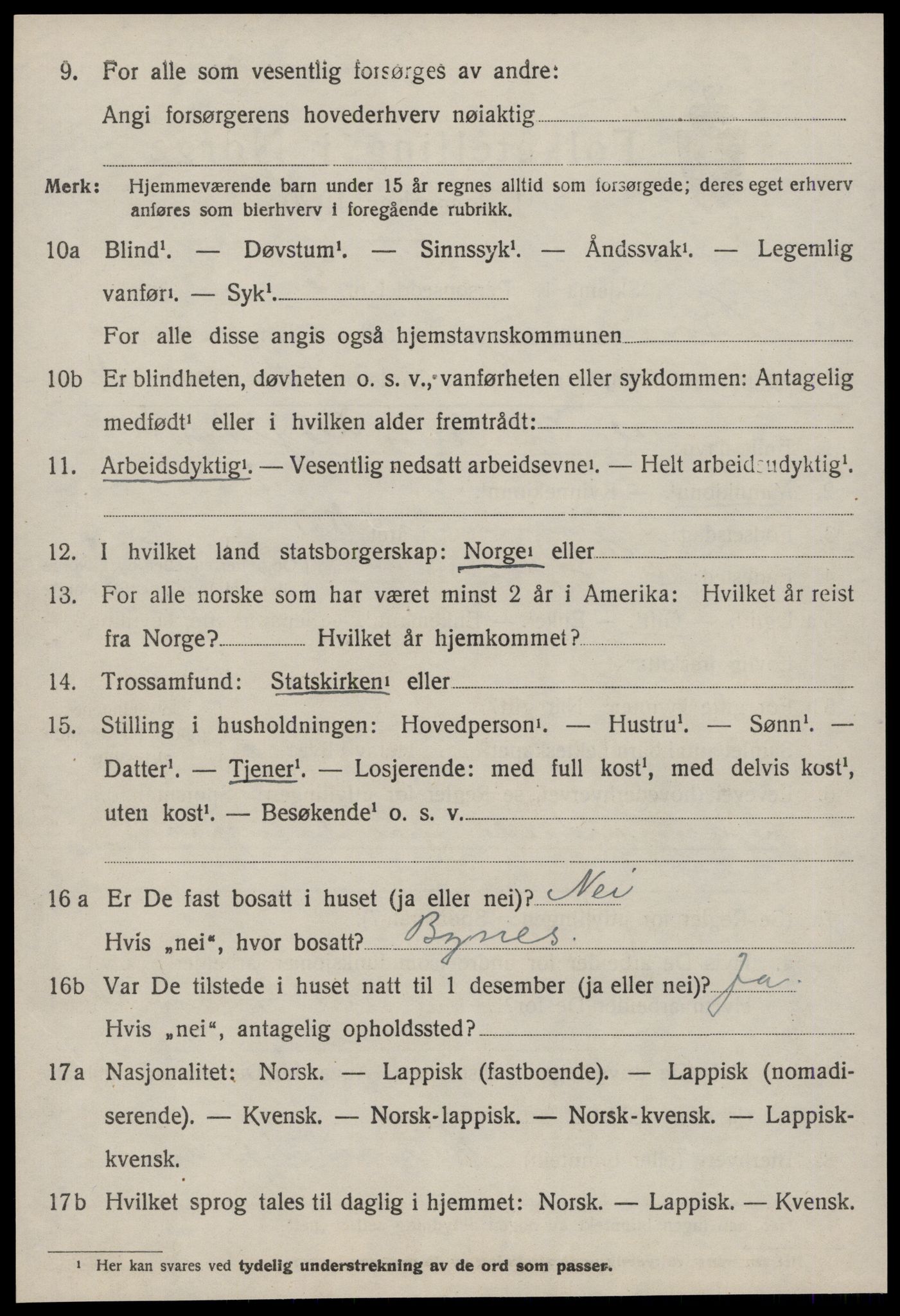 SAT, 1920 census for Børsa, 1920, p. 2524