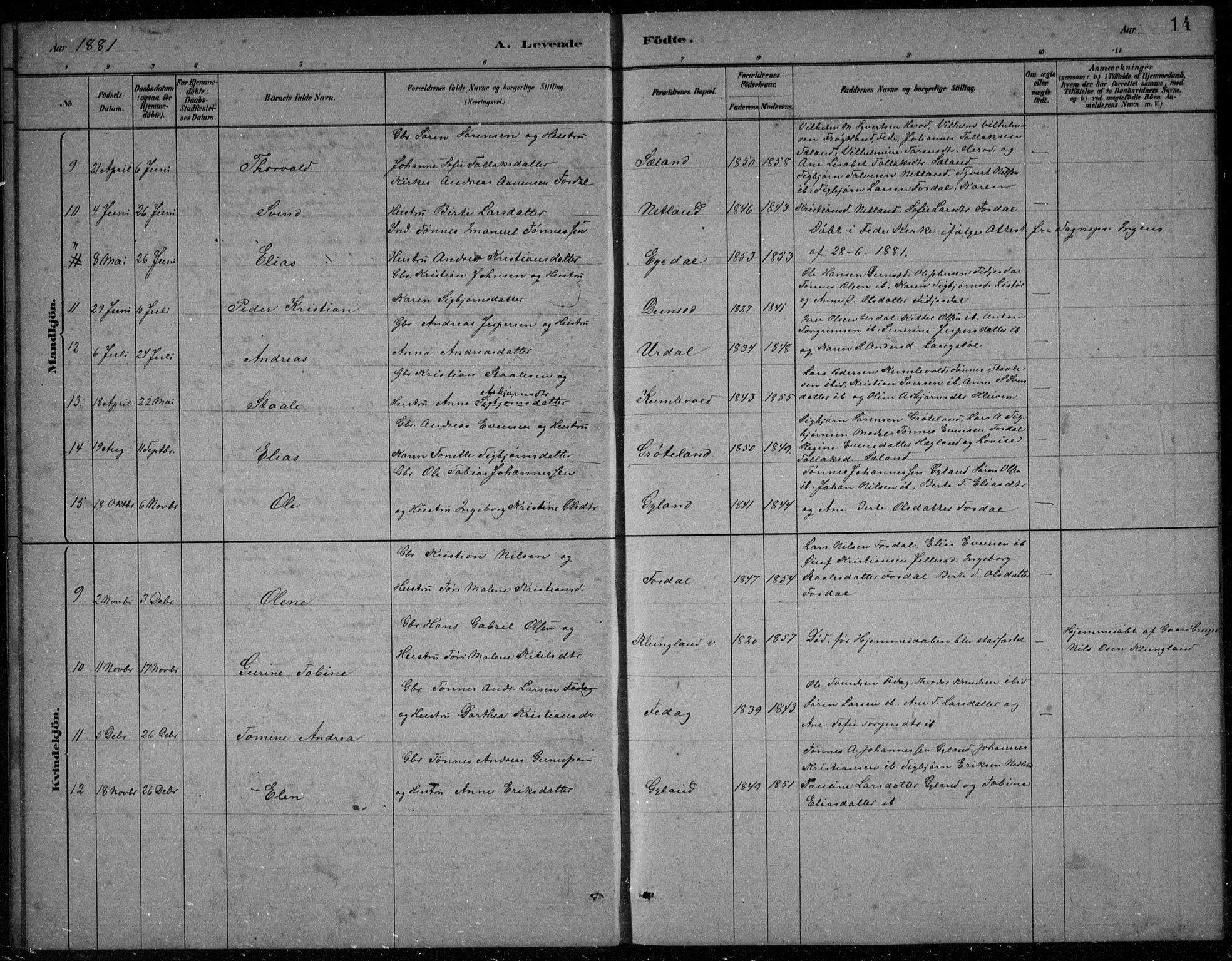 Bakke sokneprestkontor, AV/SAK-1111-0002/F/Fb/Fbb/L0003: Parish register (copy) no. B 3, 1878-1896, p. 14