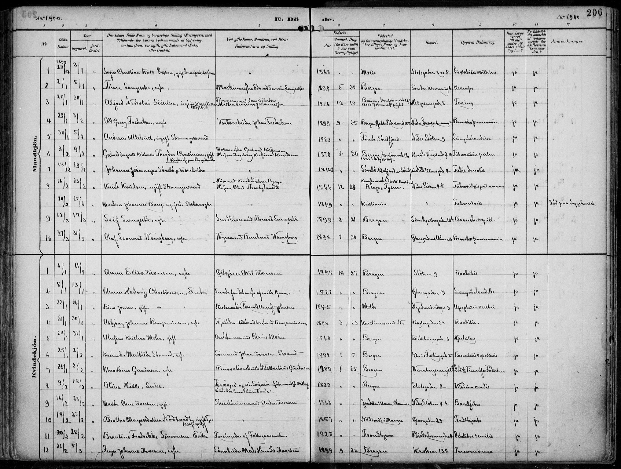 Mariakirken Sokneprestembete, SAB/A-76901/H/Hab/L0005: Parish register (copy) no. A 5, 1893-1913, p. 206