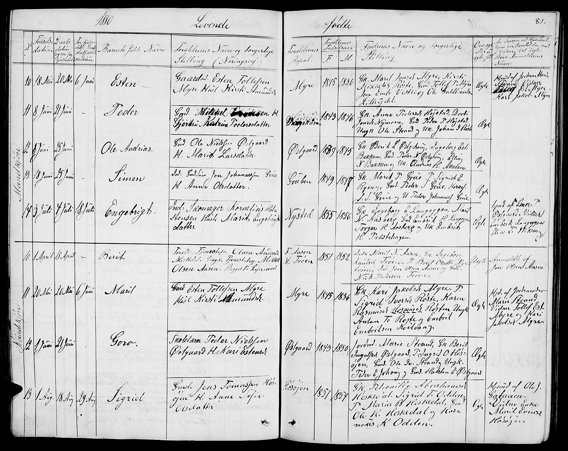 Tolga prestekontor, AV/SAH-PREST-062/L/L0004: Parish register (copy) no. 4, 1845-1887, p. 81