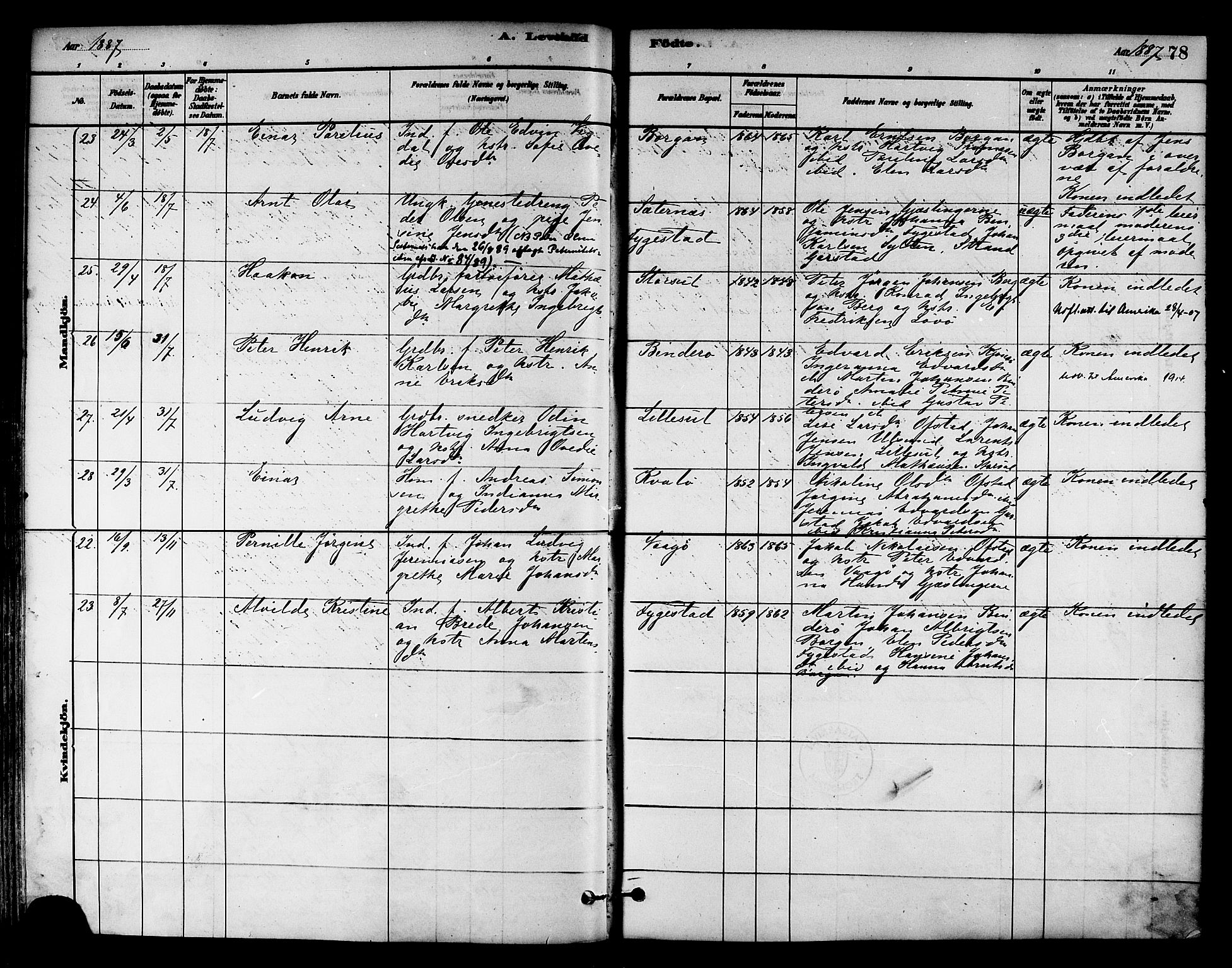 Ministerialprotokoller, klokkerbøker og fødselsregistre - Nord-Trøndelag, AV/SAT-A-1458/786/L0686: Parish register (official) no. 786A02, 1880-1887, p. 78