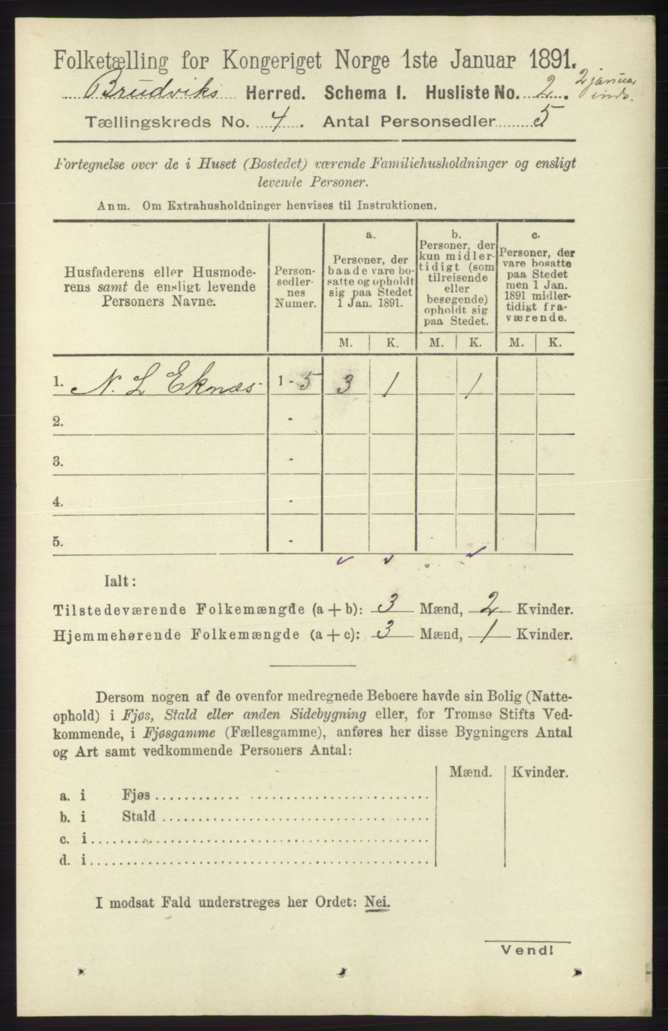 RA, 1891 census for 1251 Bruvik, 1891, p. 979