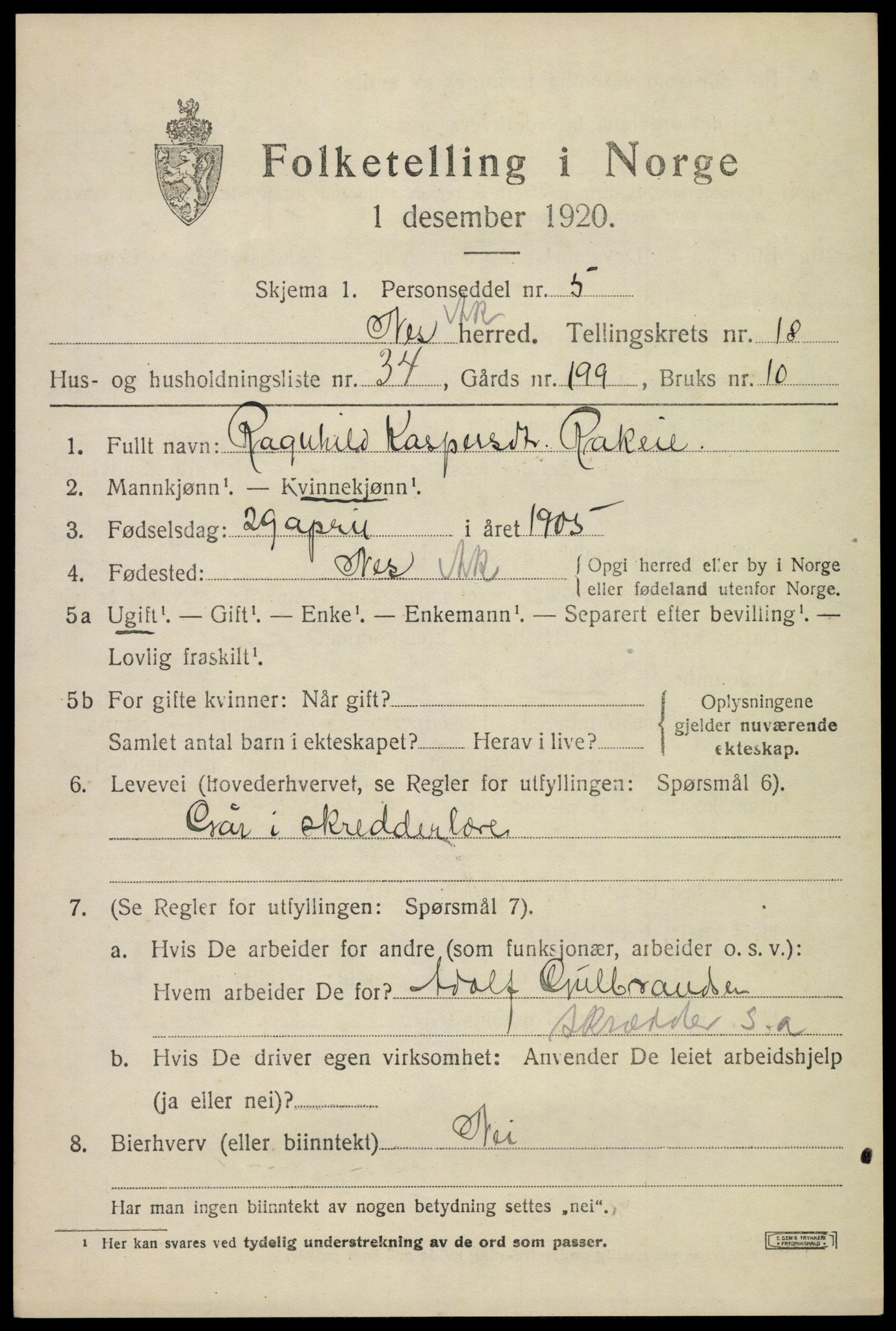 SAO, 1920 census for Nes, 1920, p. 18234