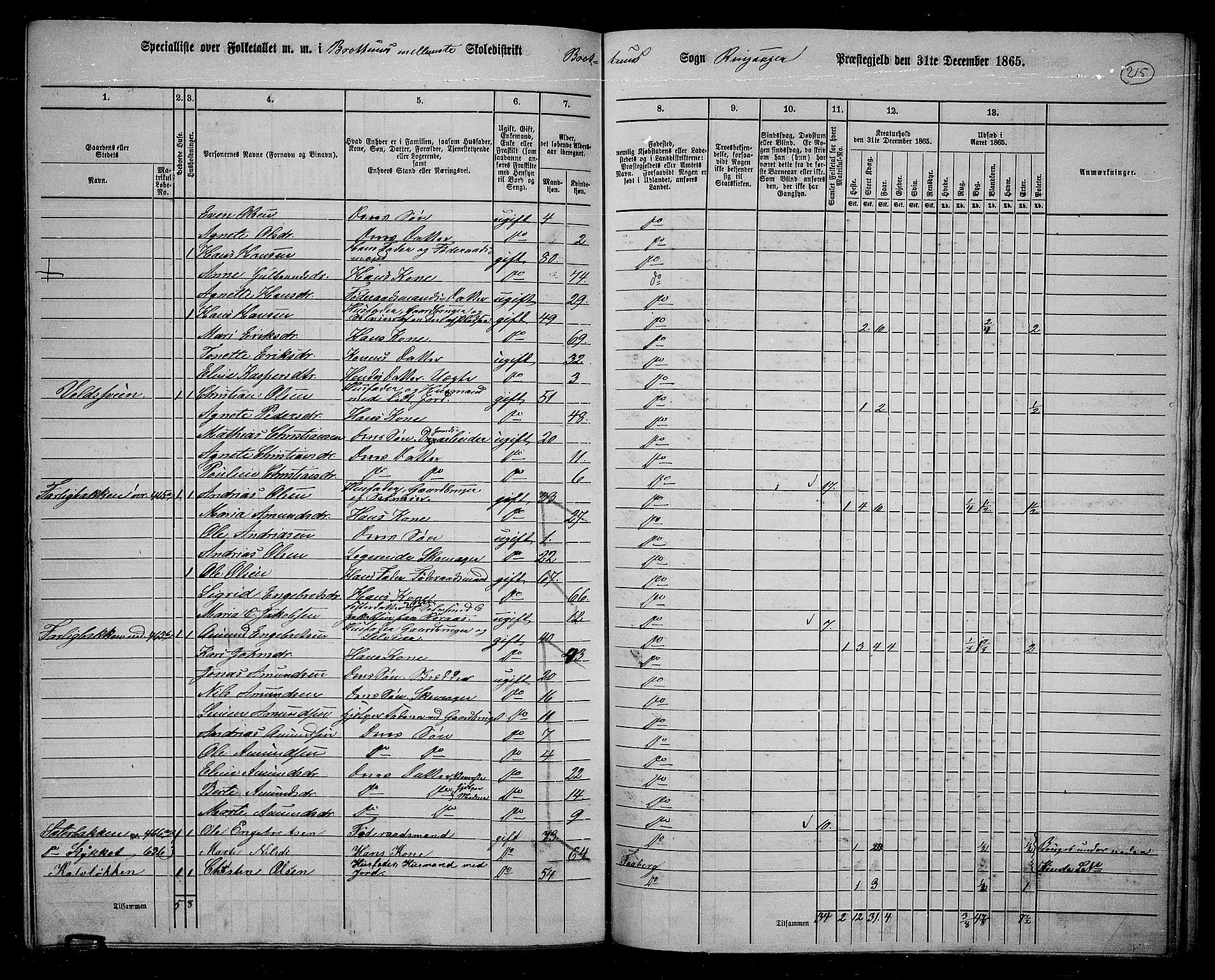 RA, 1865 census for Ringsaker, 1865, p. 454