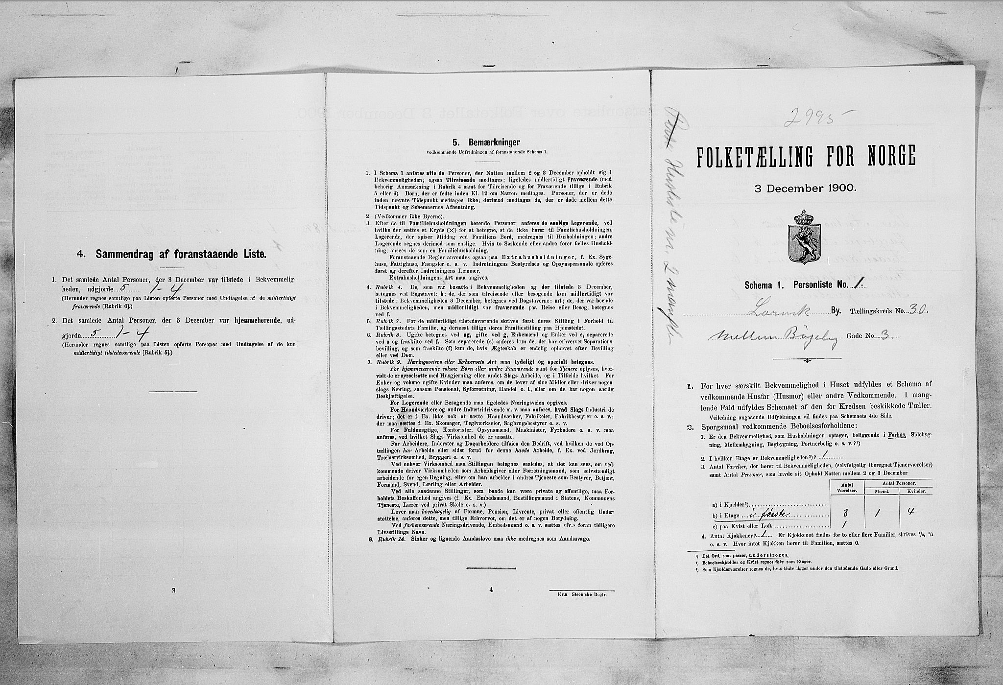 RA, 1900 census for Larvik, 1900, p. 3267