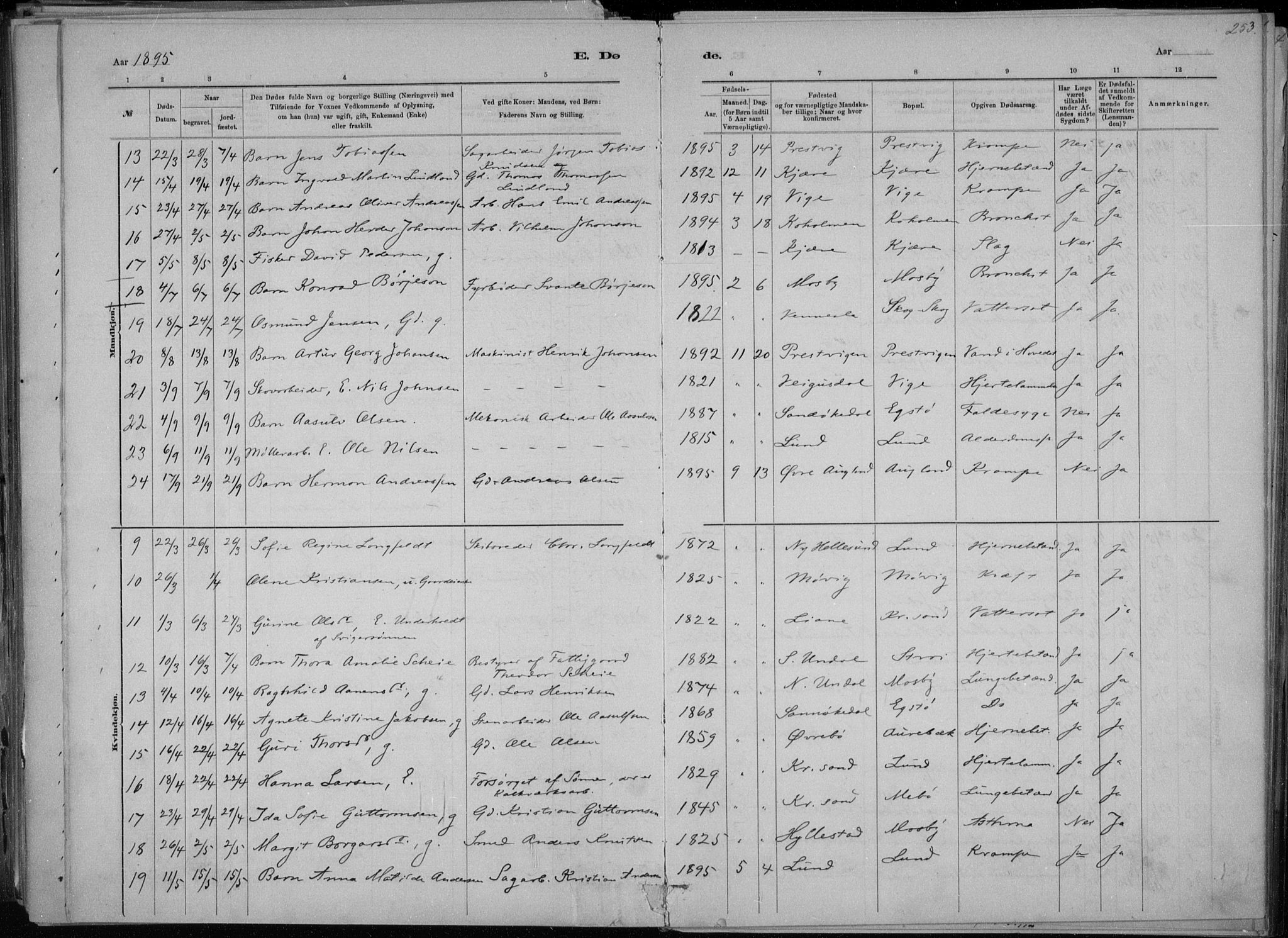 Oddernes sokneprestkontor, AV/SAK-1111-0033/F/Fa/Faa/L0009: Parish register (official) no. A 9, 1884-1896, p. 253