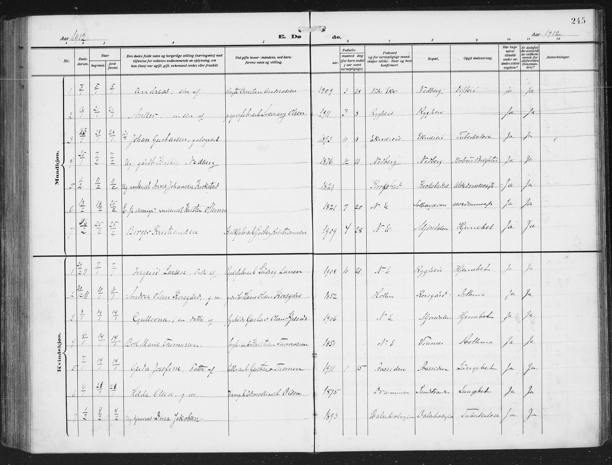 Nedre Eiker kirkebøker, AV/SAKO-A-612/F/Fa/L0007: Parish register (official) no. 7, 1912-1918, p. 245