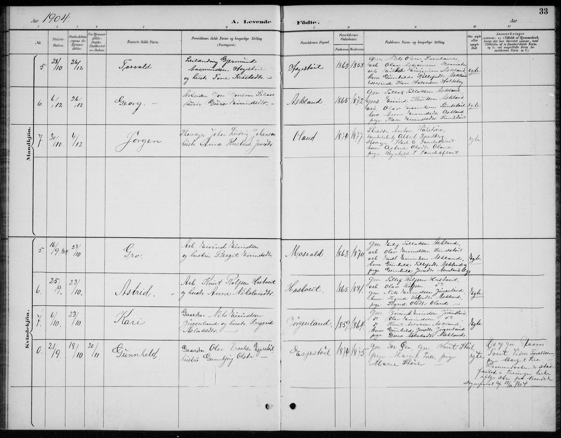 Åmli sokneprestkontor, AV/SAK-1111-0050/F/Fb/Fba/L0002: Parish register (copy) no. B 2, 1890-1912, p. 33