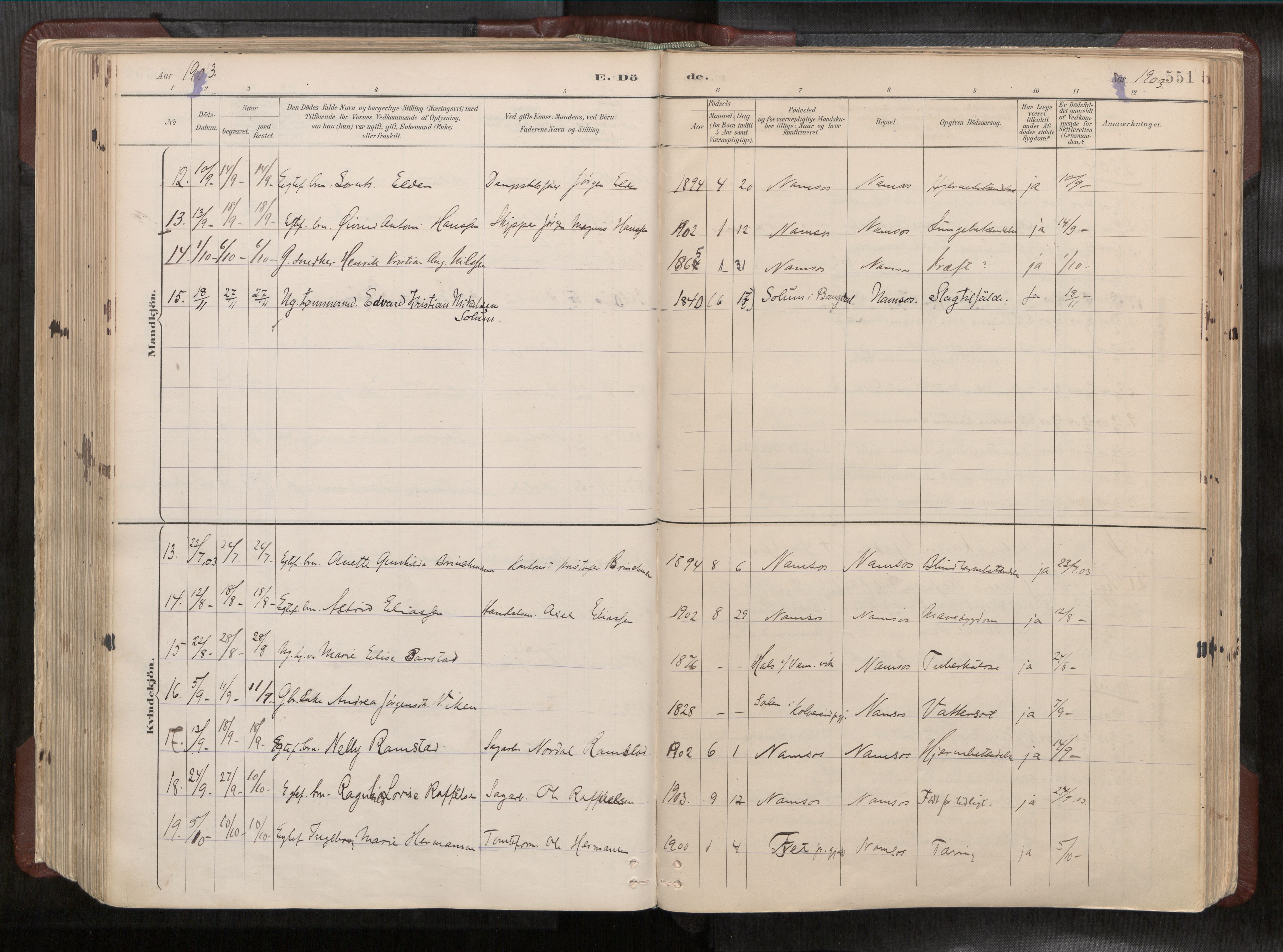 Ministerialprotokoller, klokkerbøker og fødselsregistre - Nord-Trøndelag, AV/SAT-A-1458/768/L0579a: Parish register (official) no. 768A14, 1887-1931, p. 551