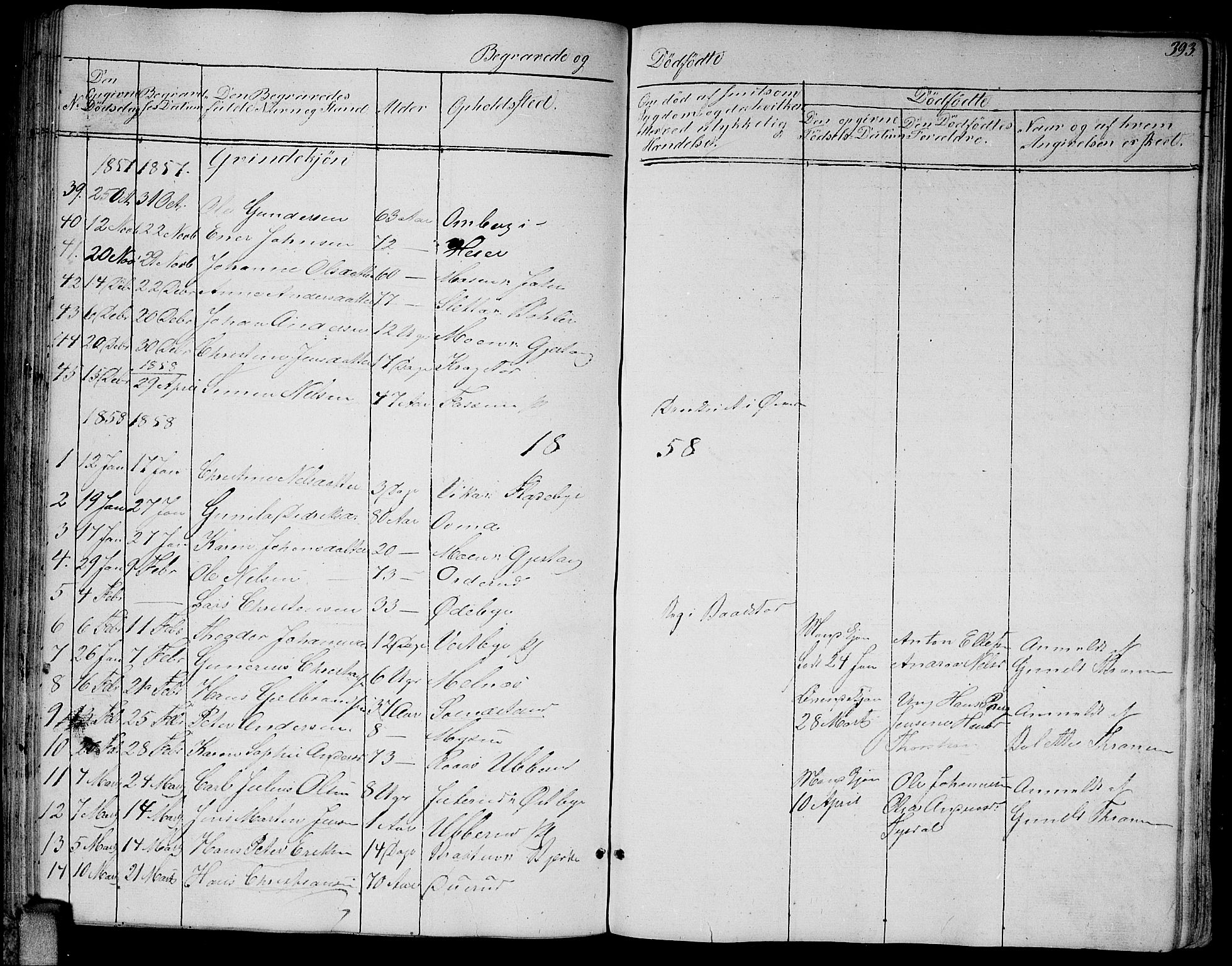 Enebakk prestekontor Kirkebøker, AV/SAO-A-10171c/G/Ga/L0004: Parish register (copy) no. I 4, 1850-1866, p. 393