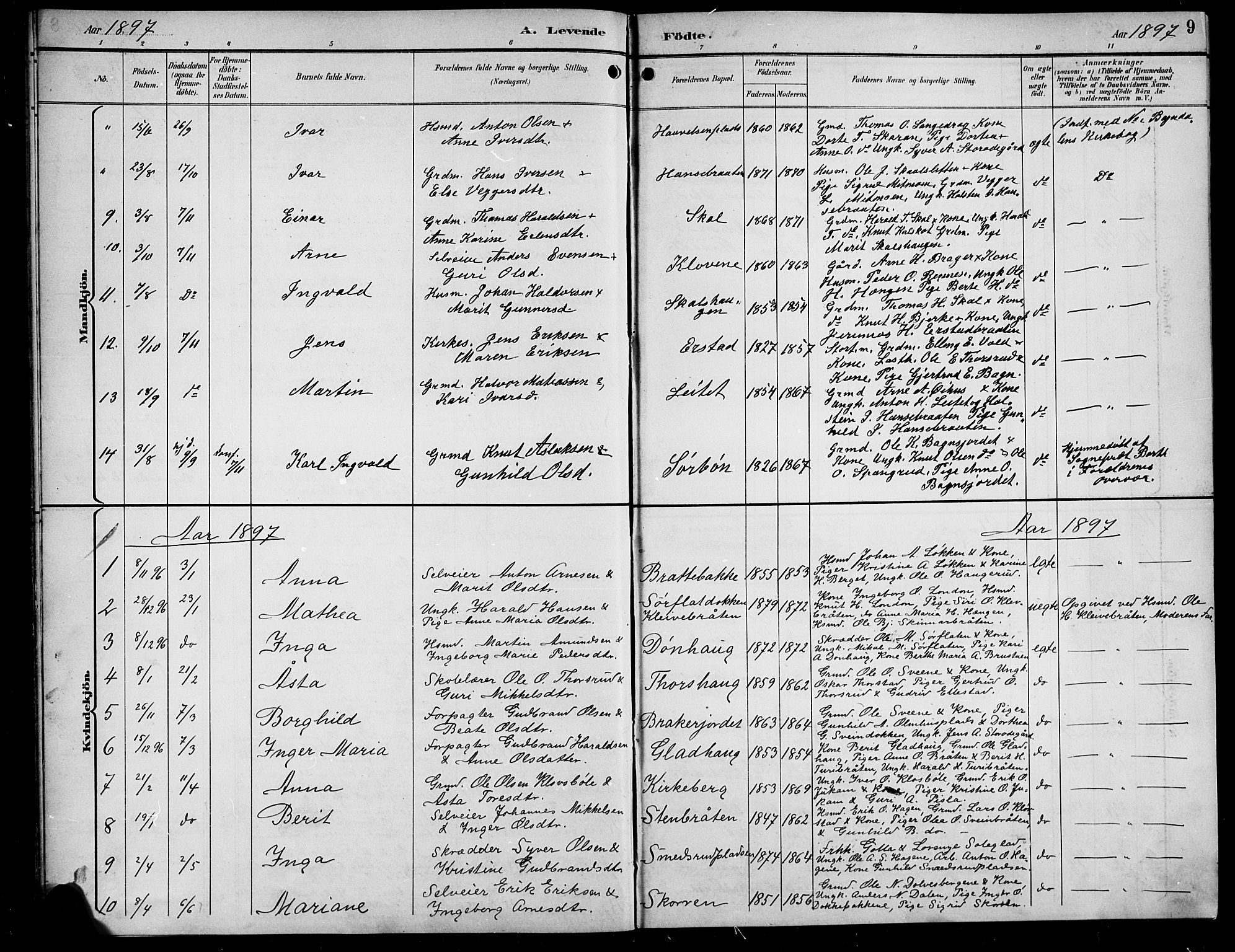 Sør-Aurdal prestekontor, AV/SAH-PREST-128/H/Ha/Hab/L0009: Parish register (copy) no. 9, 1894-1924, p. 9