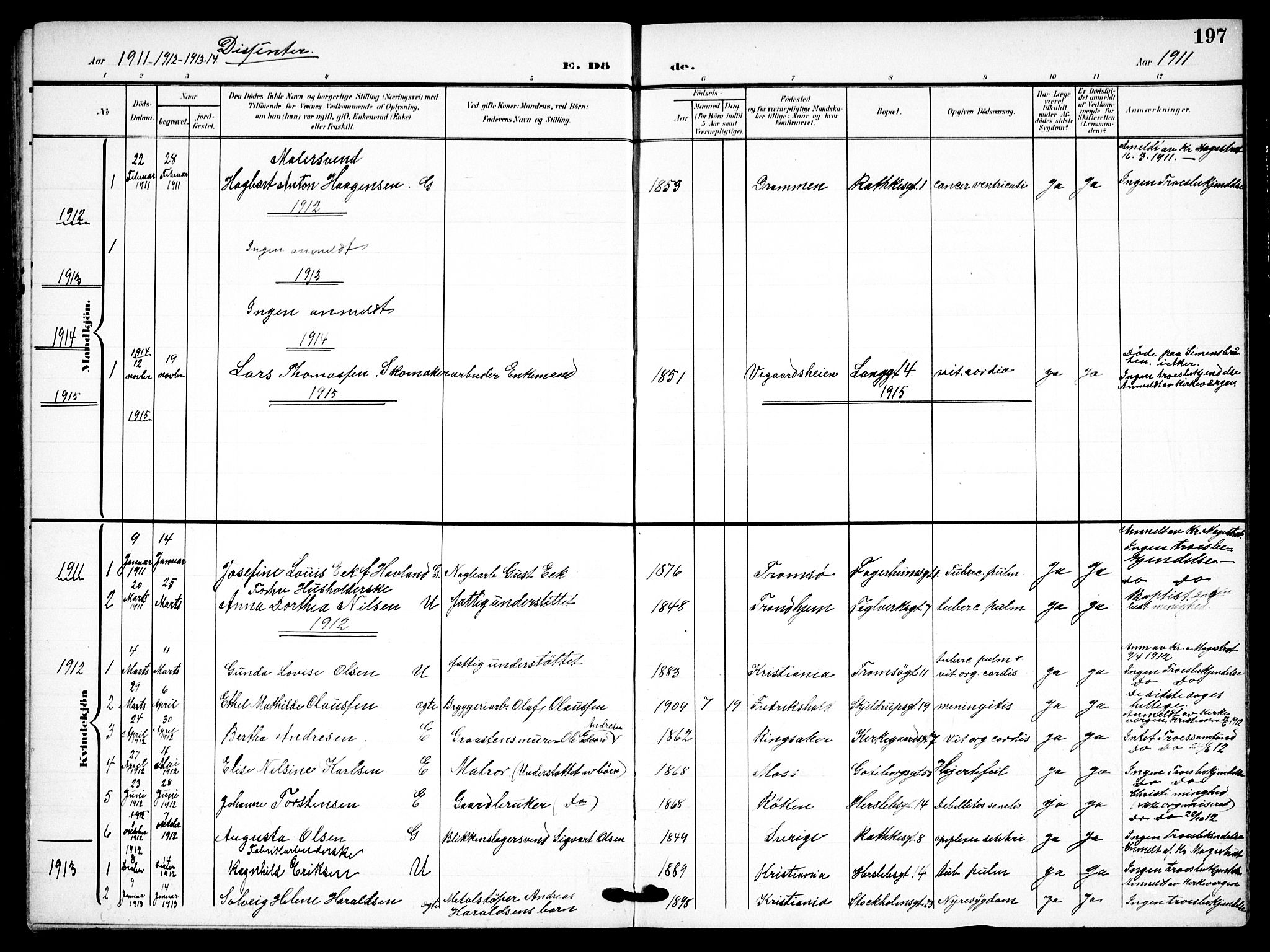 Petrus prestekontor Kirkebøker, AV/SAO-A-10872/F/Fa/L0010: Parish register (official) no. 10, 1904-1916, p. 197