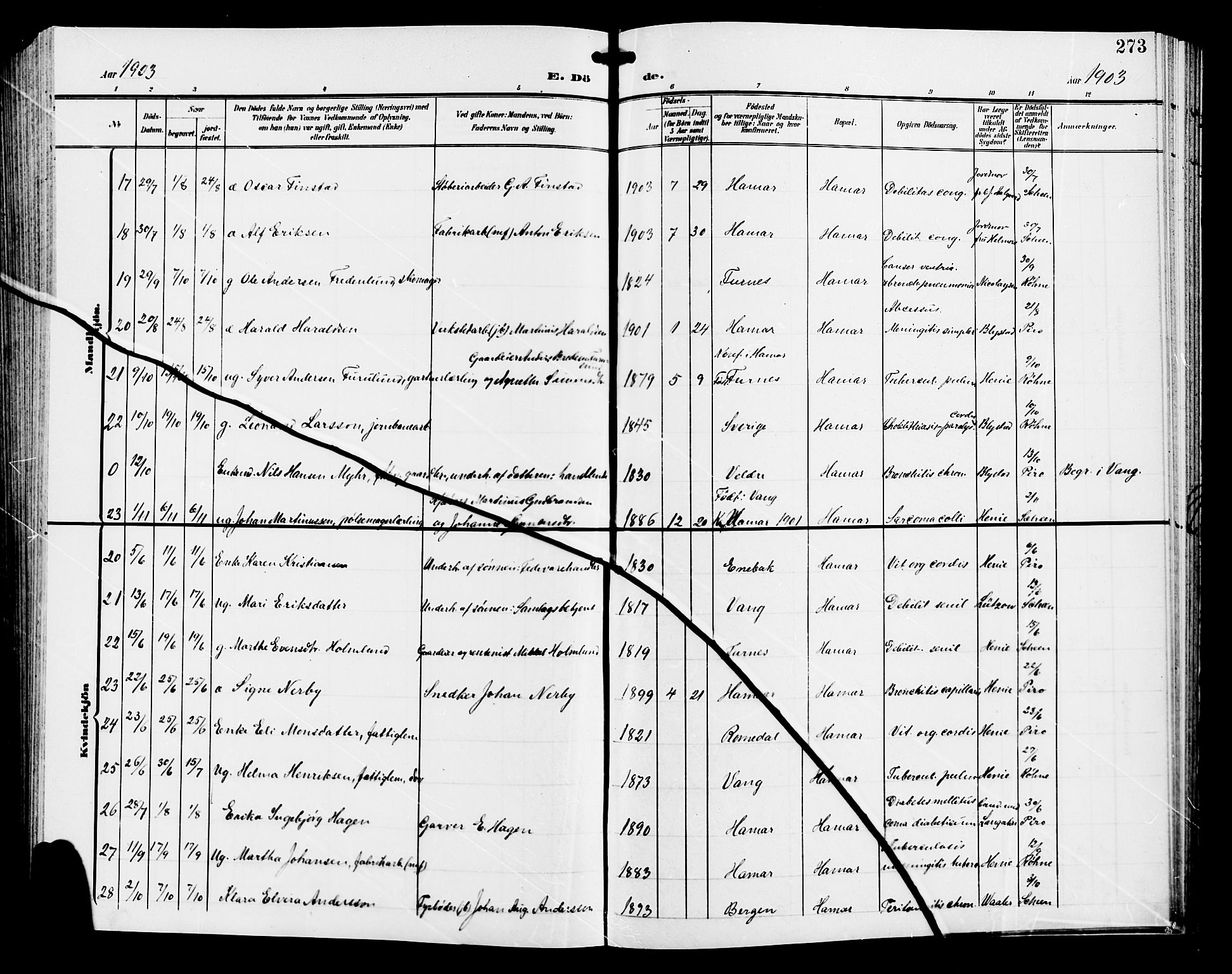 Hamar prestekontor, AV/SAH-DOMPH-002/H/Ha/Hab/L0001: Parish register (copy) no. 1, 1899-1914, p. 273