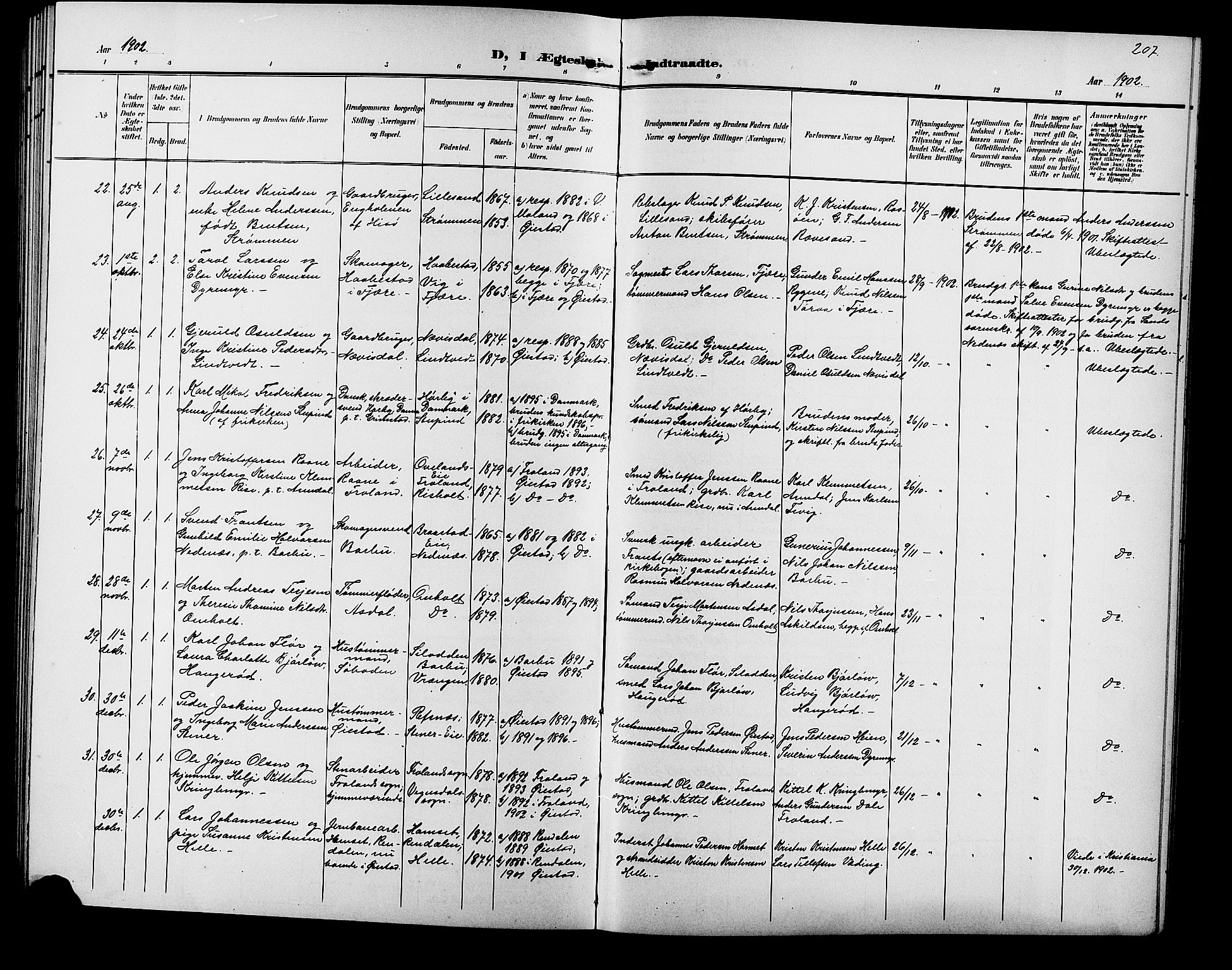 Øyestad sokneprestkontor, AV/SAK-1111-0049/F/Fb/L0010: Parish register (copy) no. B 10, 1897-1906, p. 207