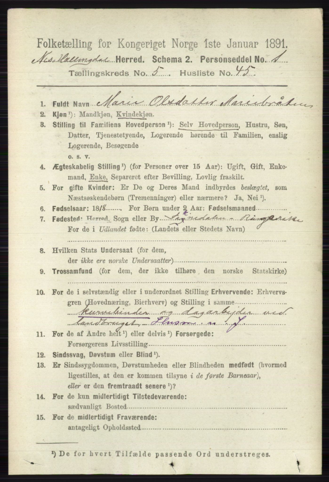 RA, 1891 census for 0616 Nes, 1891, p. 2874