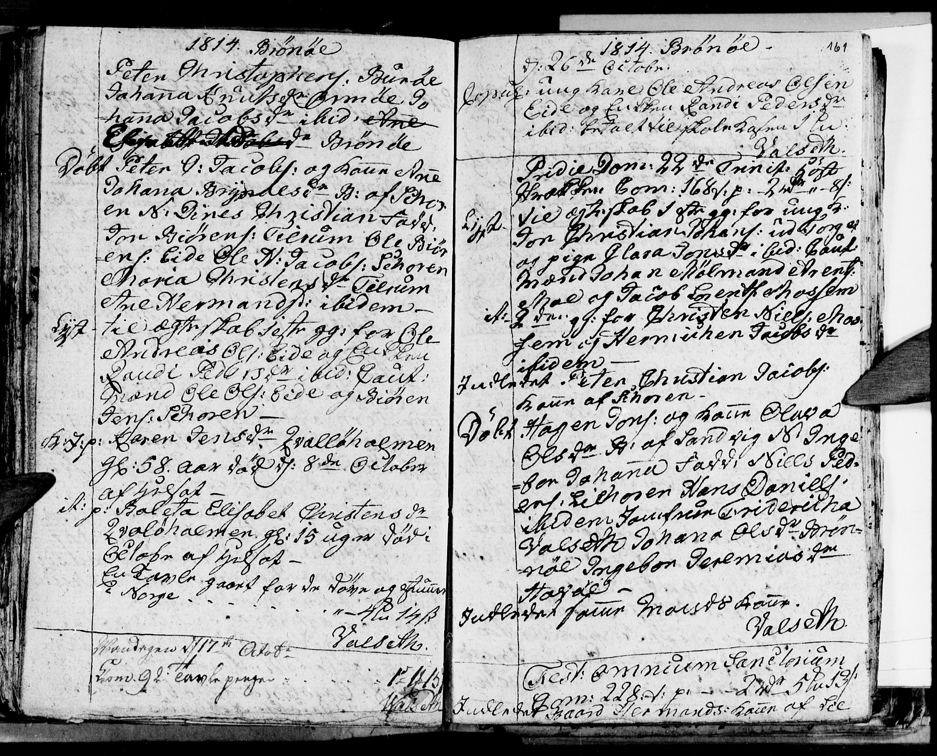 Ministerialprotokoller, klokkerbøker og fødselsregistre - Nordland, SAT/A-1459/813/L0209: Parish register (copy) no. 813C01, 1803-1821, p. 161