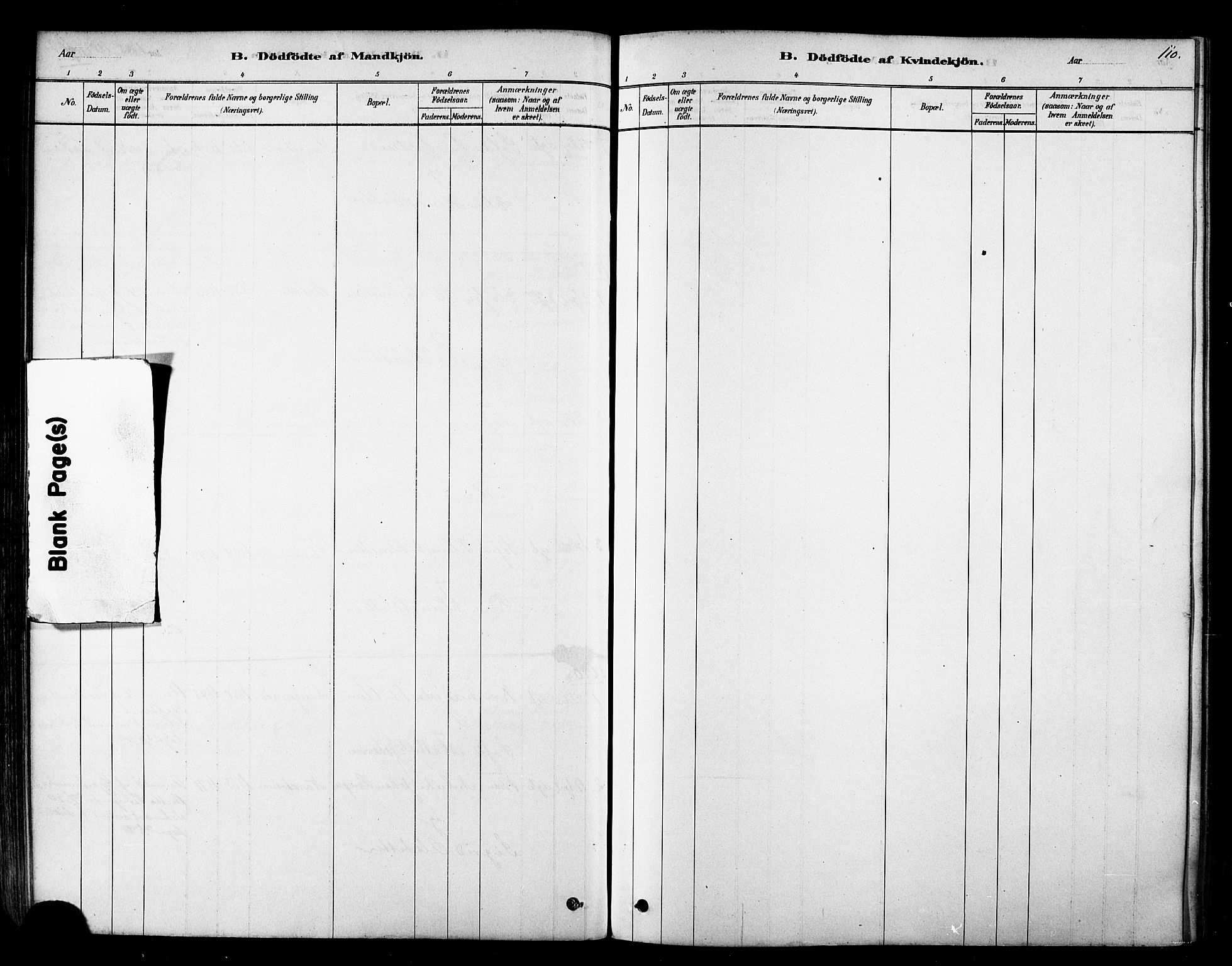 Tana sokneprestkontor, AV/SATØ-S-1334/H/Ha/L0004kirke: Parish register (official) no. 4, 1878-1891, p. 110