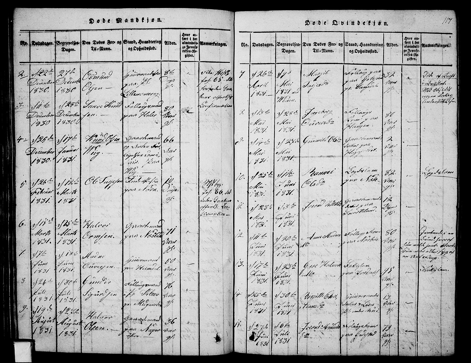 Fyresdal kirkebøker, SAKO/A-263/G/Ga/L0001: Parish register (copy) no. I 1, 1816-1840, p. 117