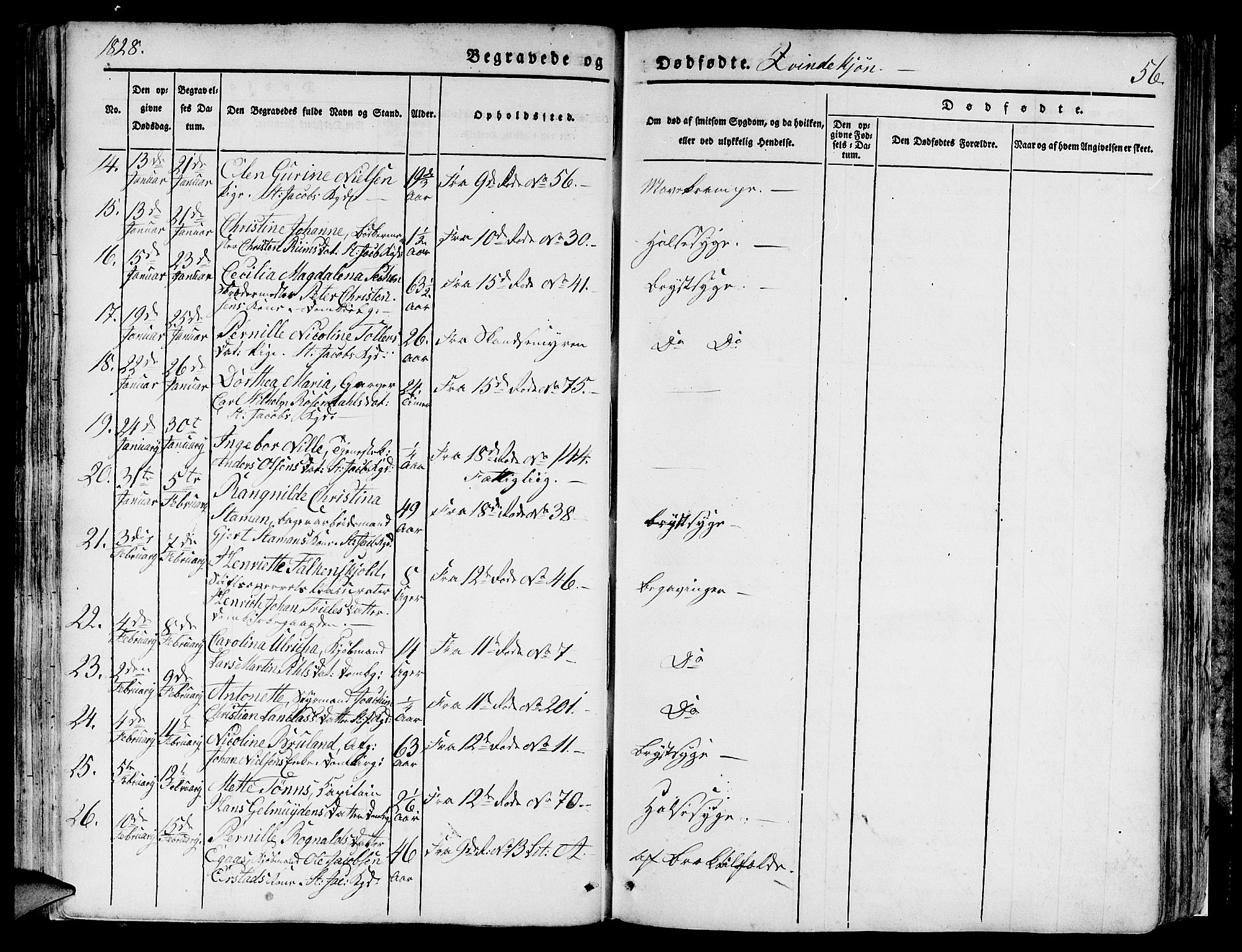 Domkirken sokneprestembete, SAB/A-74801/H/Hab/L0006: Parish register (copy) no. A 6, 1827-1834, p. 56