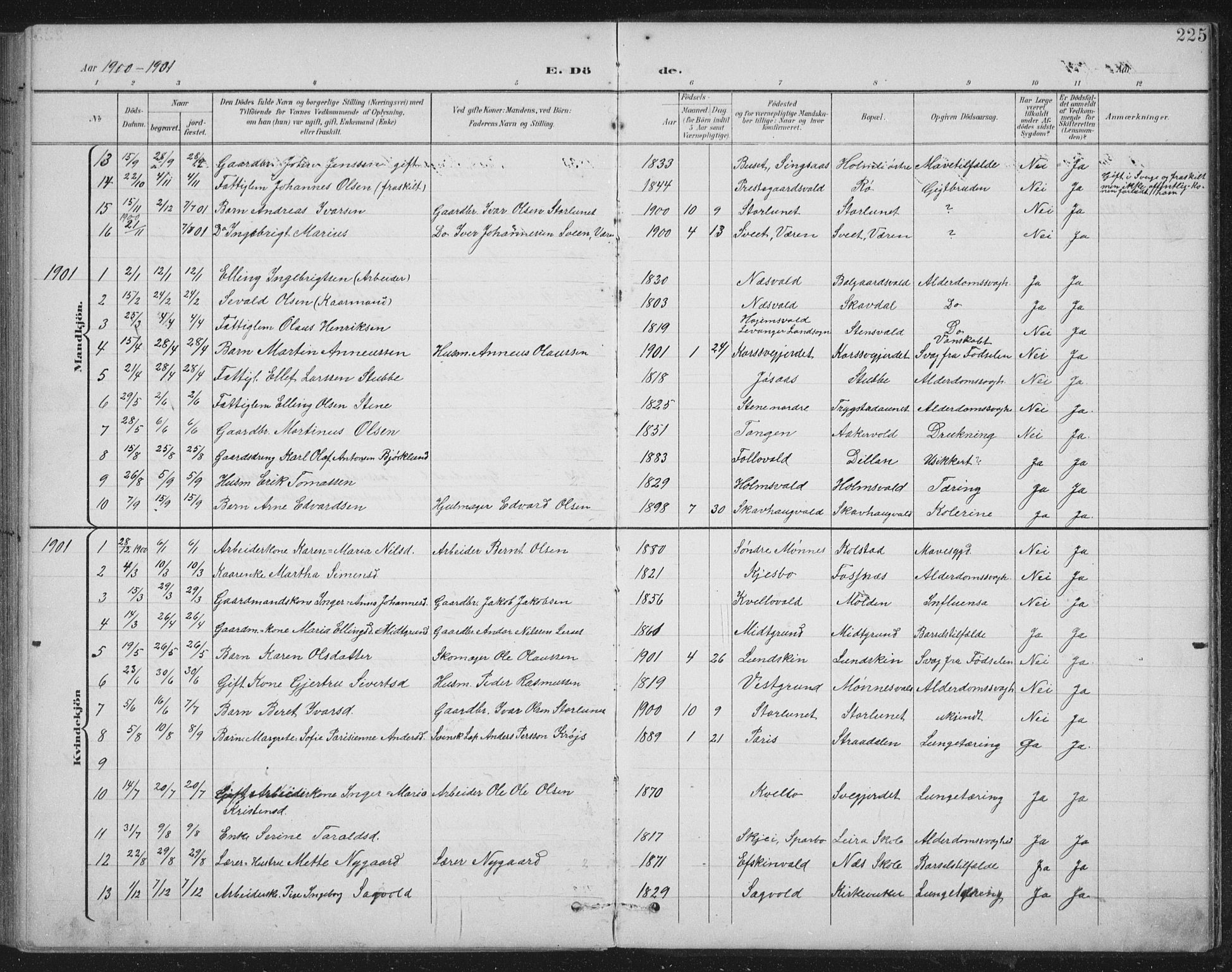 Ministerialprotokoller, klokkerbøker og fødselsregistre - Nord-Trøndelag, SAT/A-1458/724/L0269: Parish register (copy) no. 724C05, 1899-1920, p. 225
