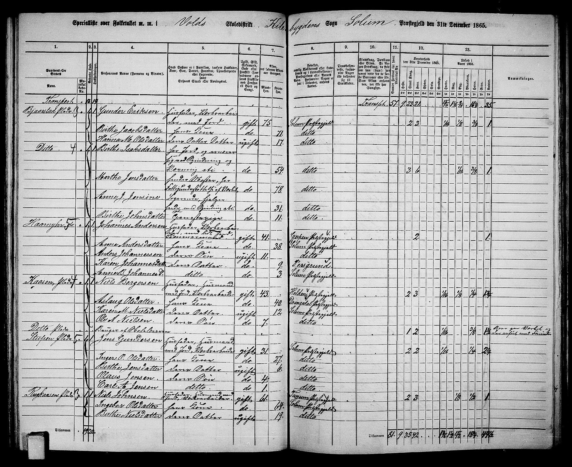 RA, 1865 census for Solum, 1865, p. 131