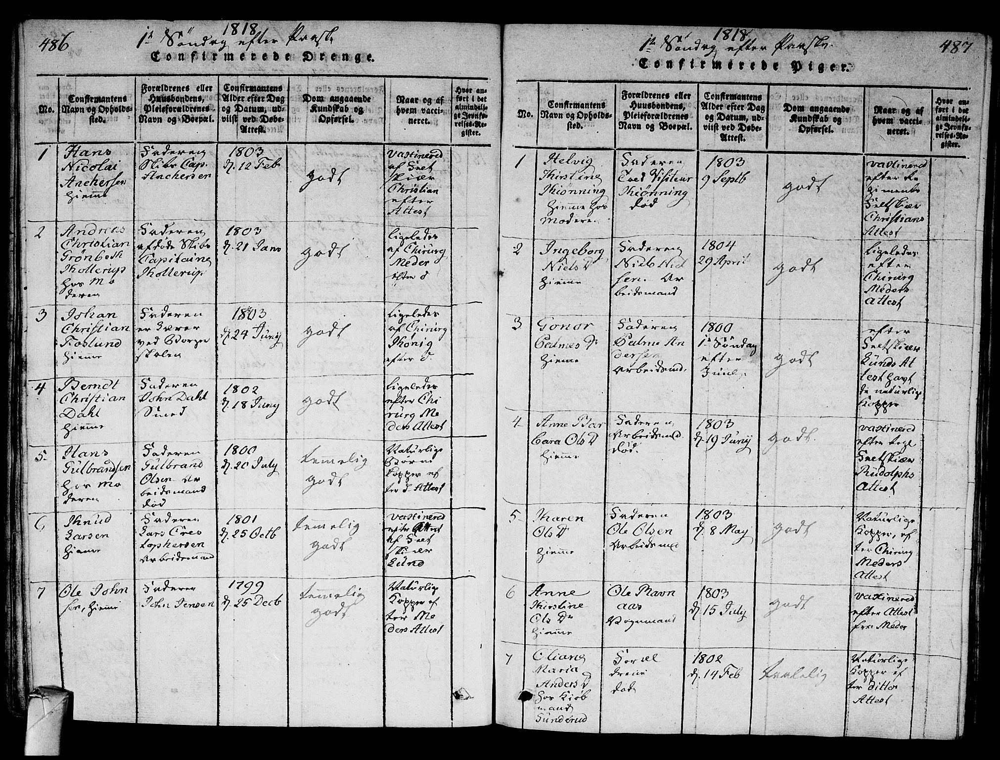 Strømsø kirkebøker, AV/SAKO-A-246/G/Ga/L0001: Parish register (copy) no. 1, 1815-1829, p. 486-487