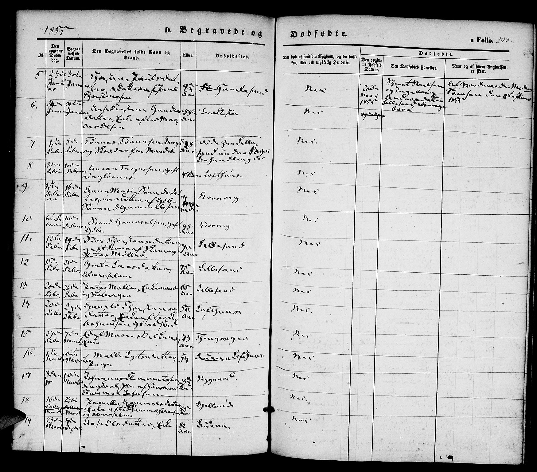 Vestre Moland sokneprestkontor, AV/SAK-1111-0046/F/Fa/Fab/L0006: Parish register (official) no. A 6, 1850-1858, p. 203