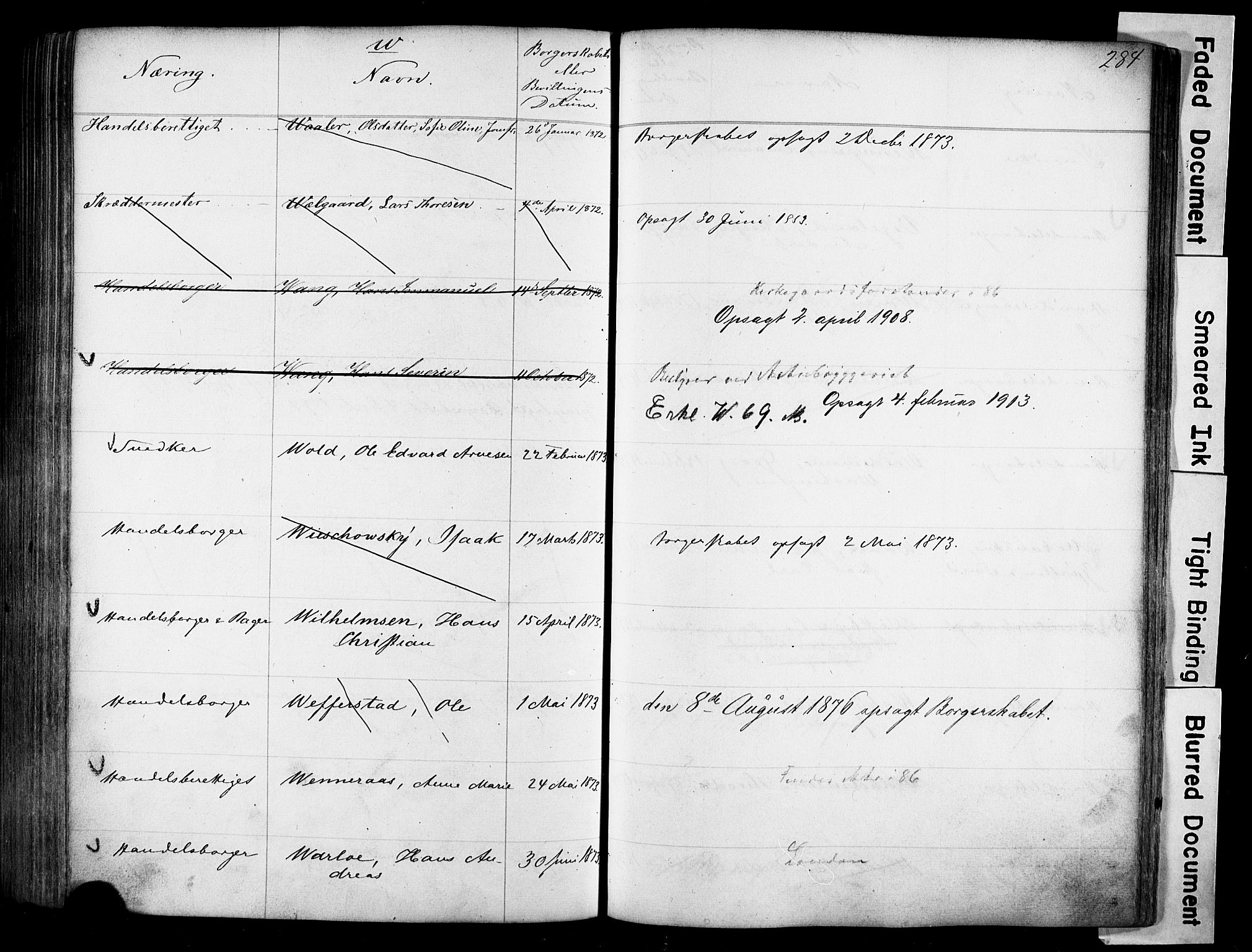 Kristiania magistrat, SAO/A-10711/F/Fb/L0004: Borgerrulle, 1860-1879, p. 285