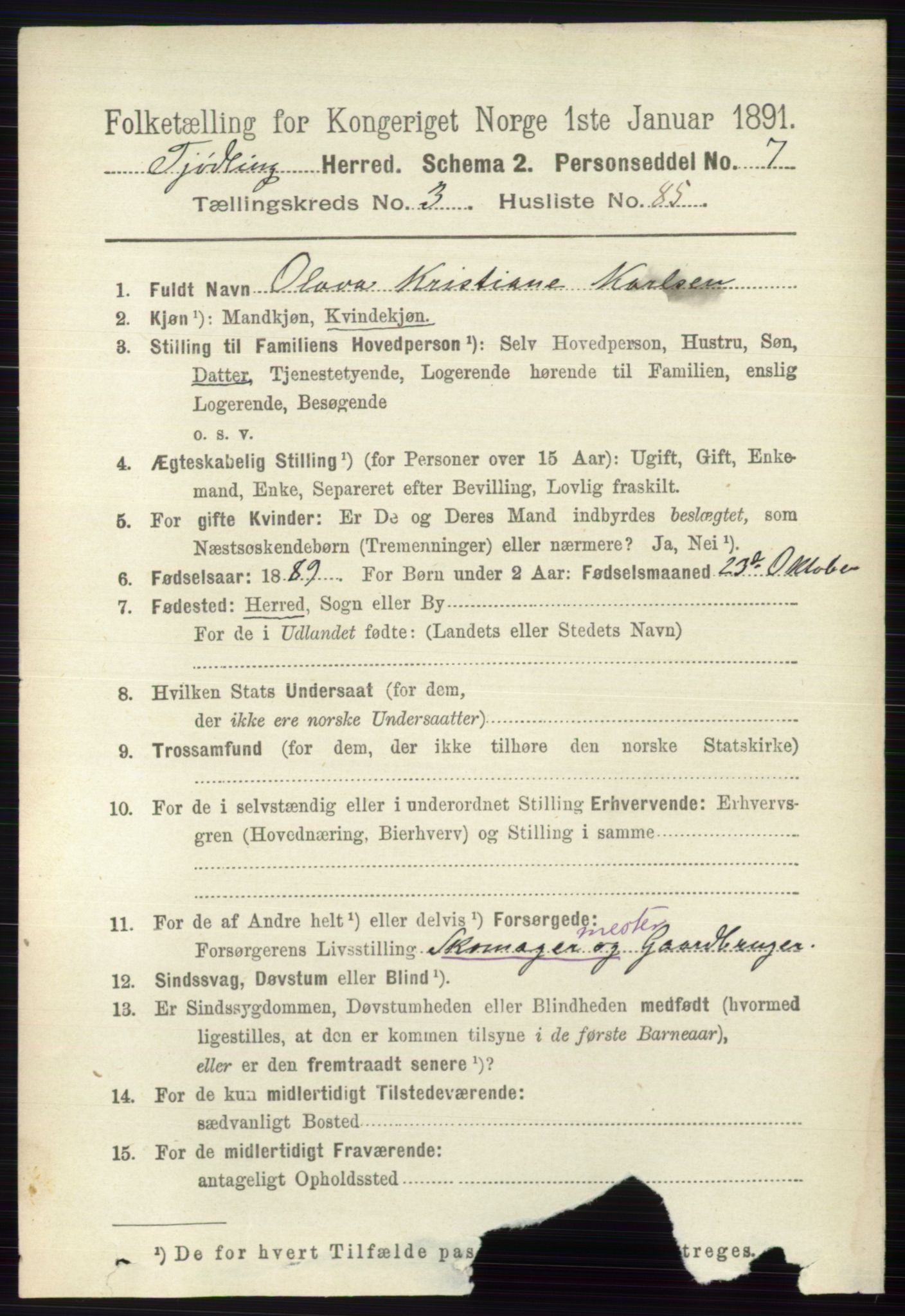 RA, 1891 census for 0725 Tjølling, 1891, p. 1367