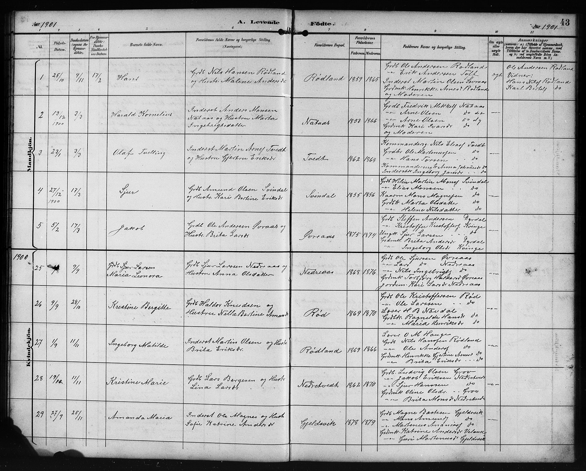 Lindås Sokneprestembete, SAB/A-76701/H/Hab: Parish register (copy) no. E 3, 1892-1905, p. 43