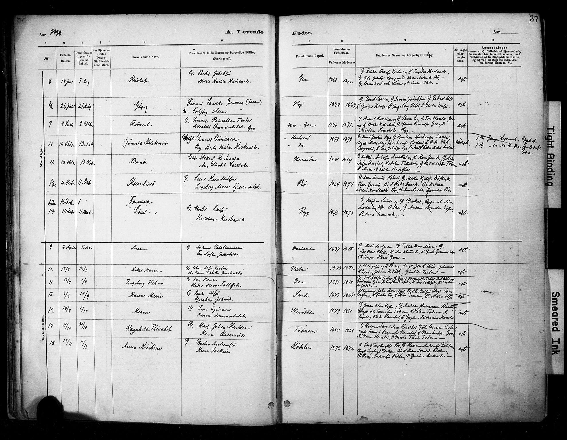 Hetland sokneprestkontor, SAST/A-101826/30/30BA/L0009: Parish register (official) no. A 9, 1882-1918, p. 37