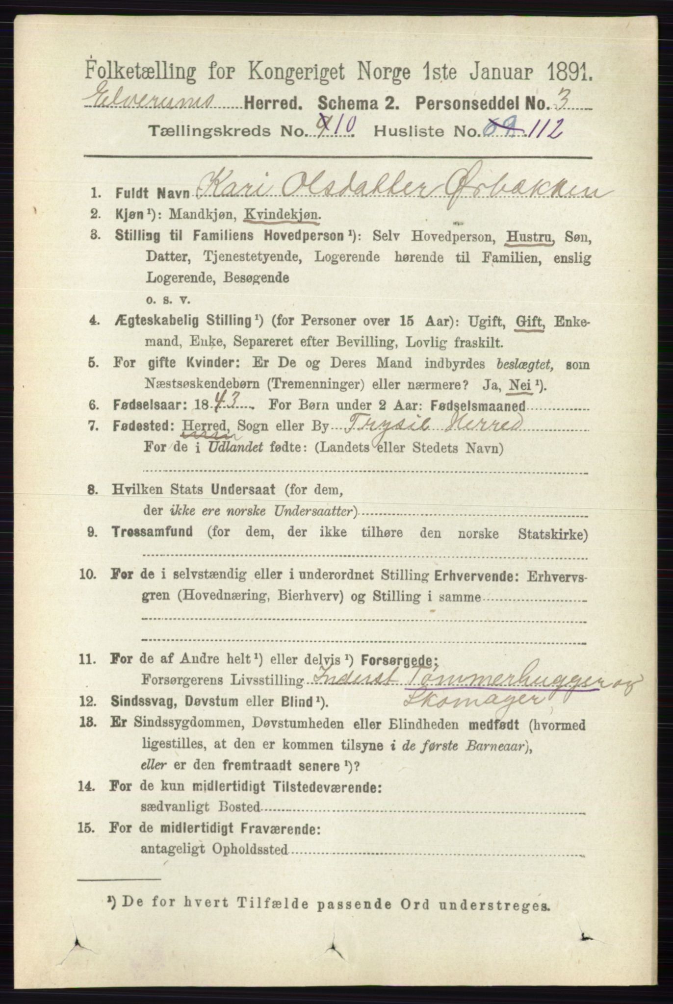 RA, 1891 census for 0427 Elverum, 1891, p. 8926