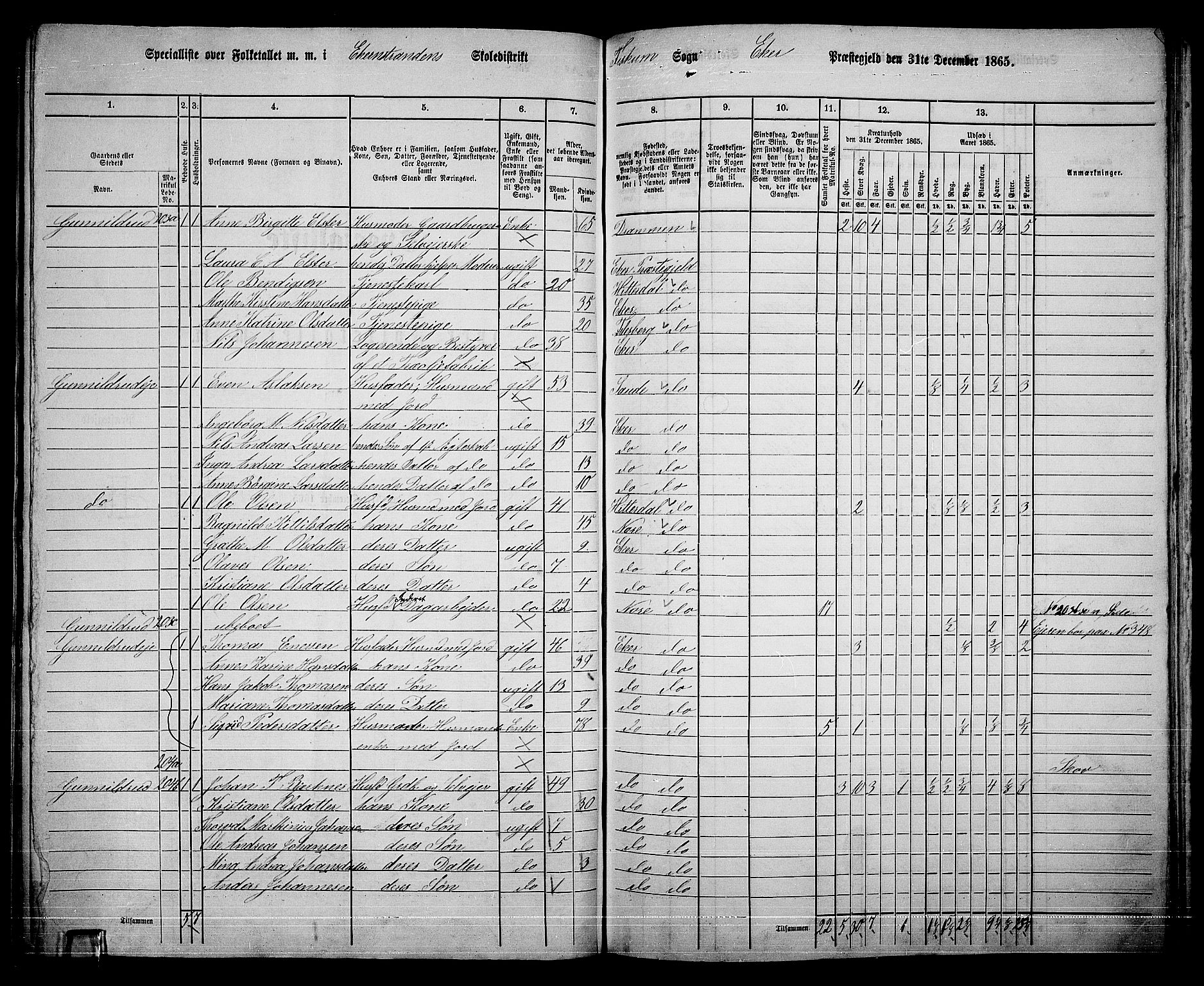 RA, 1865 census for Eiker, 1865, p. 488