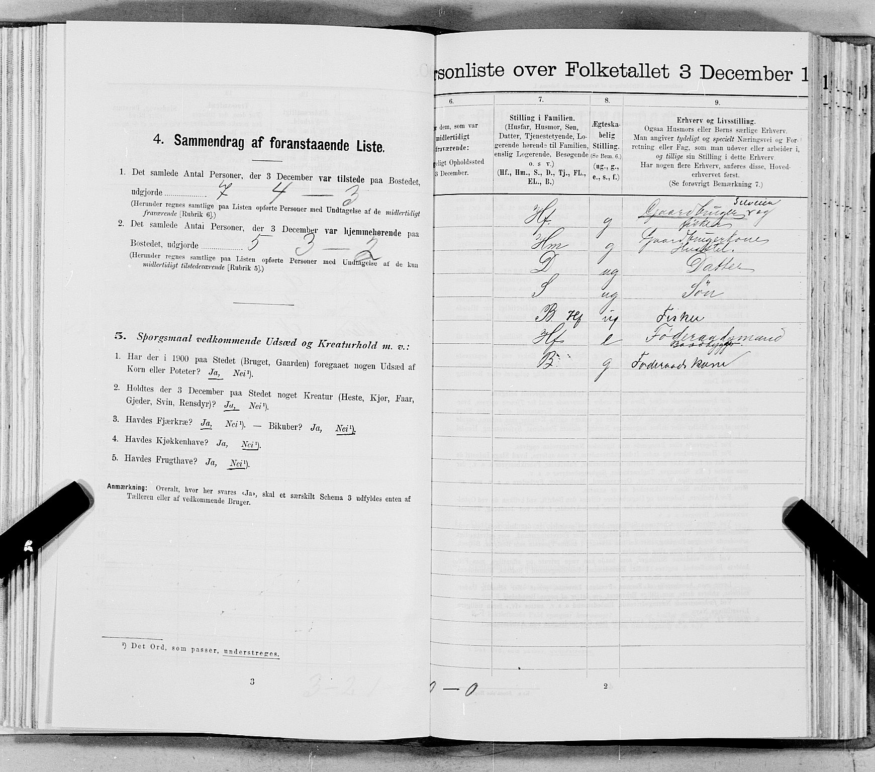 SAT, 1900 census for Leka, 1900, p. 689