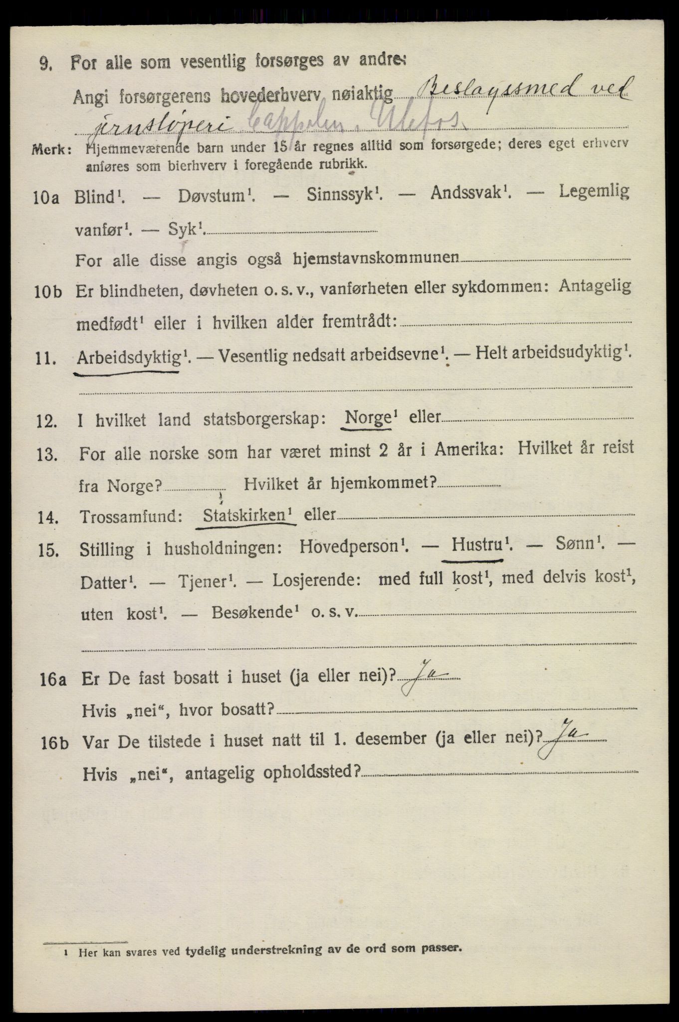 SAKO, 1920 census for Holla, 1920, p. 2596