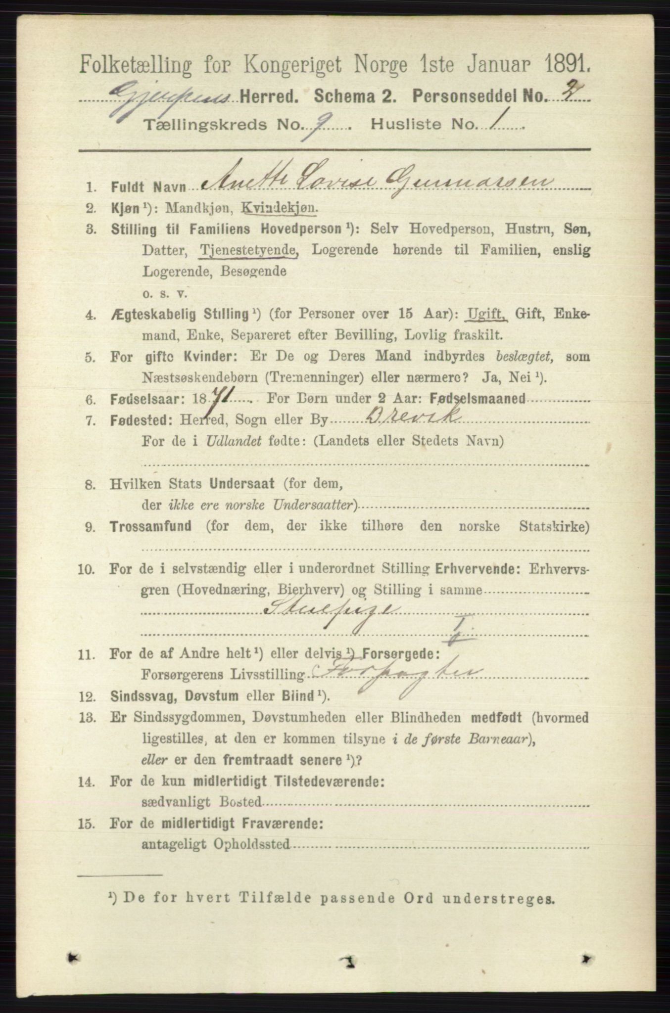 RA, 1891 census for 0812 Gjerpen, 1891, p. 4975