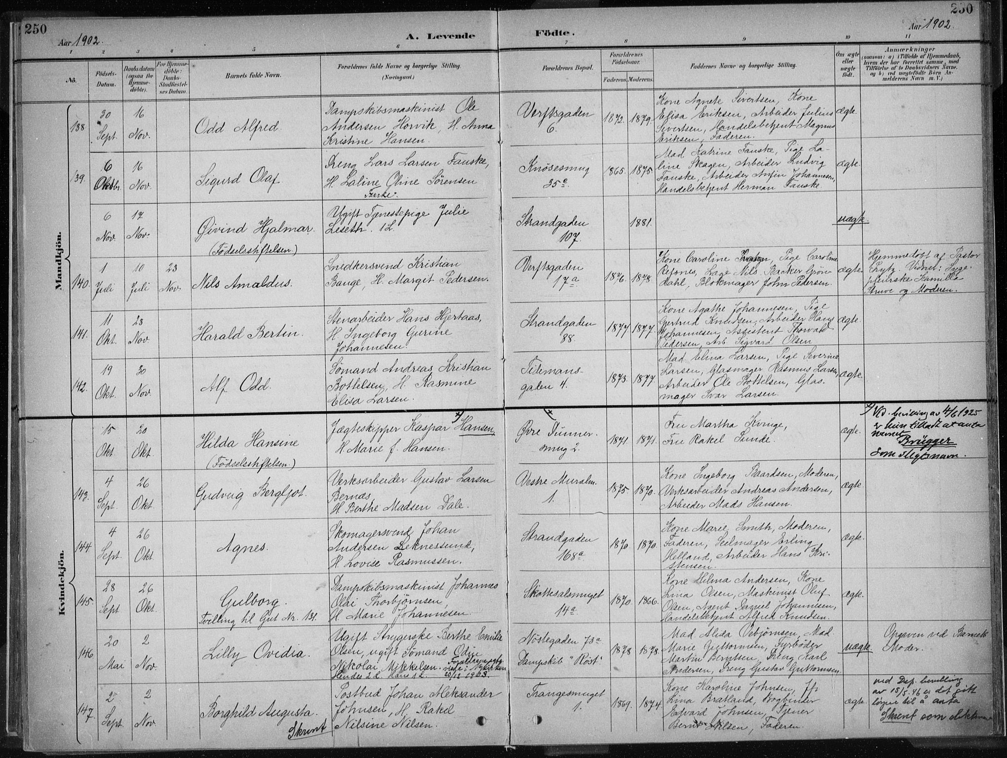 Nykirken Sokneprestembete, AV/SAB-A-77101/H/Haa/L0018: Parish register (official) no. B 6, 1895-1903, p. 250