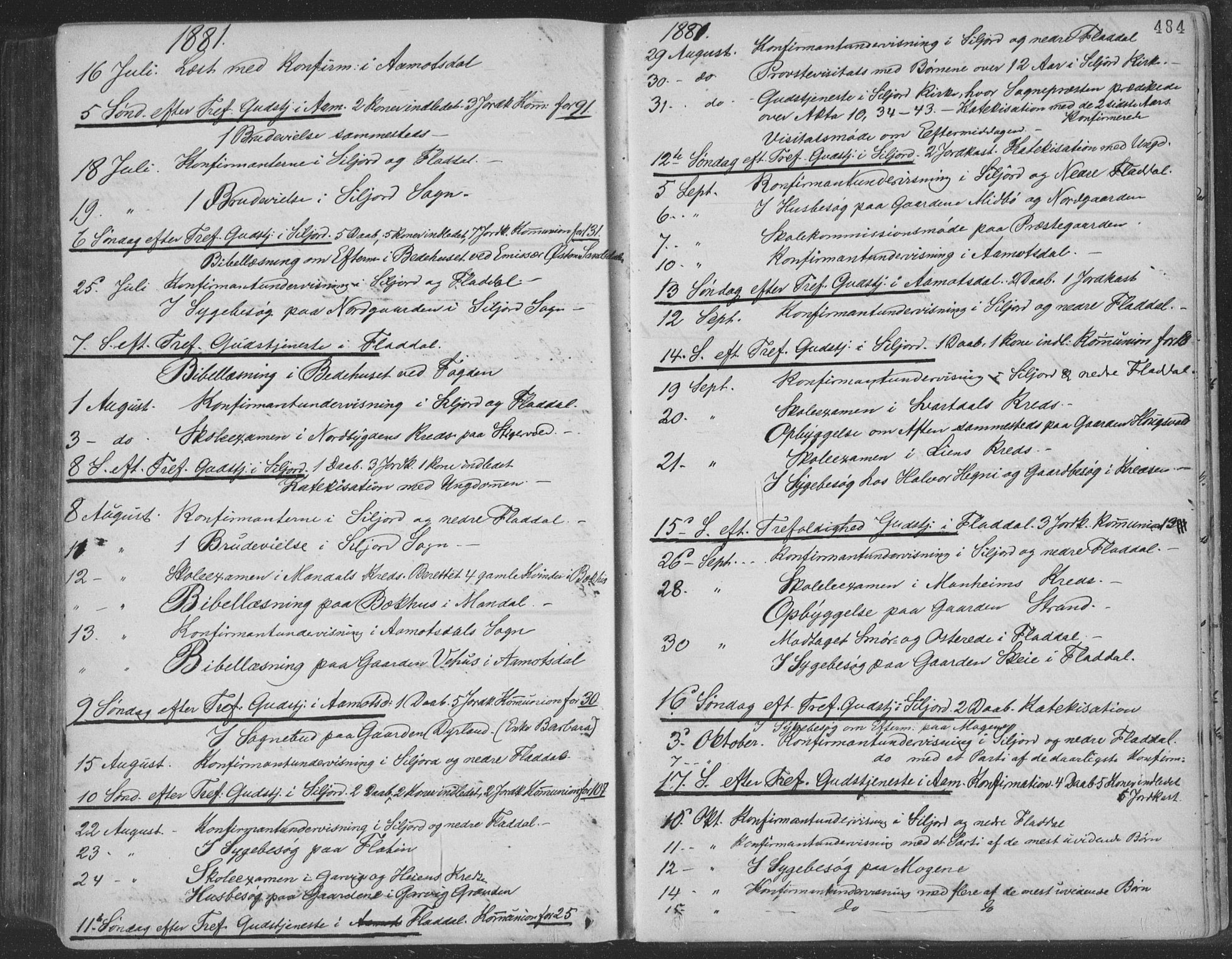 Seljord kirkebøker, SAKO/A-20/F/Fa/L0014: Parish register (official) no. I 14, 1877-1886, p. 484