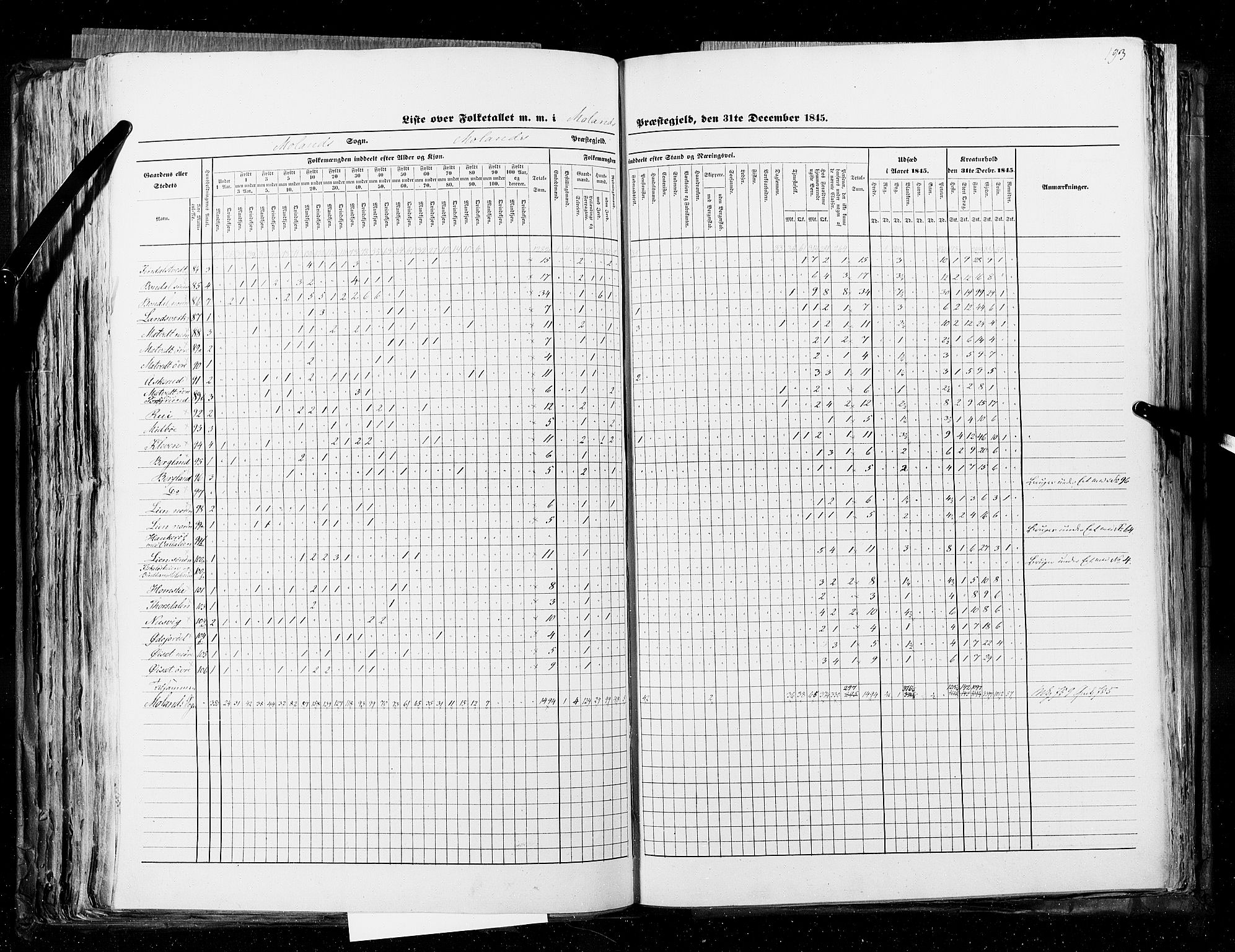 RA, Census 1845, vol. 5: Bratsberg amt og Nedenes og Råbyggelaget amt, 1845, p. 193