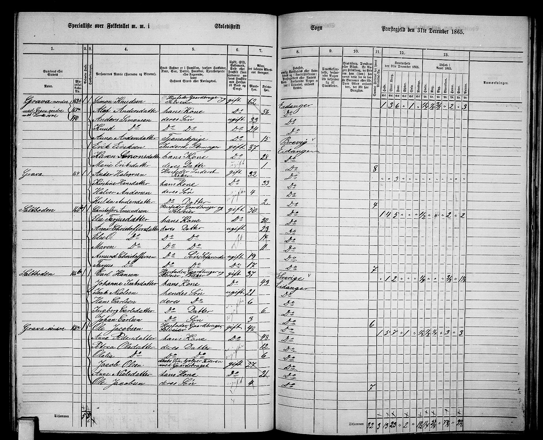 RA, 1865 census for Eidanger, 1865, p. 81