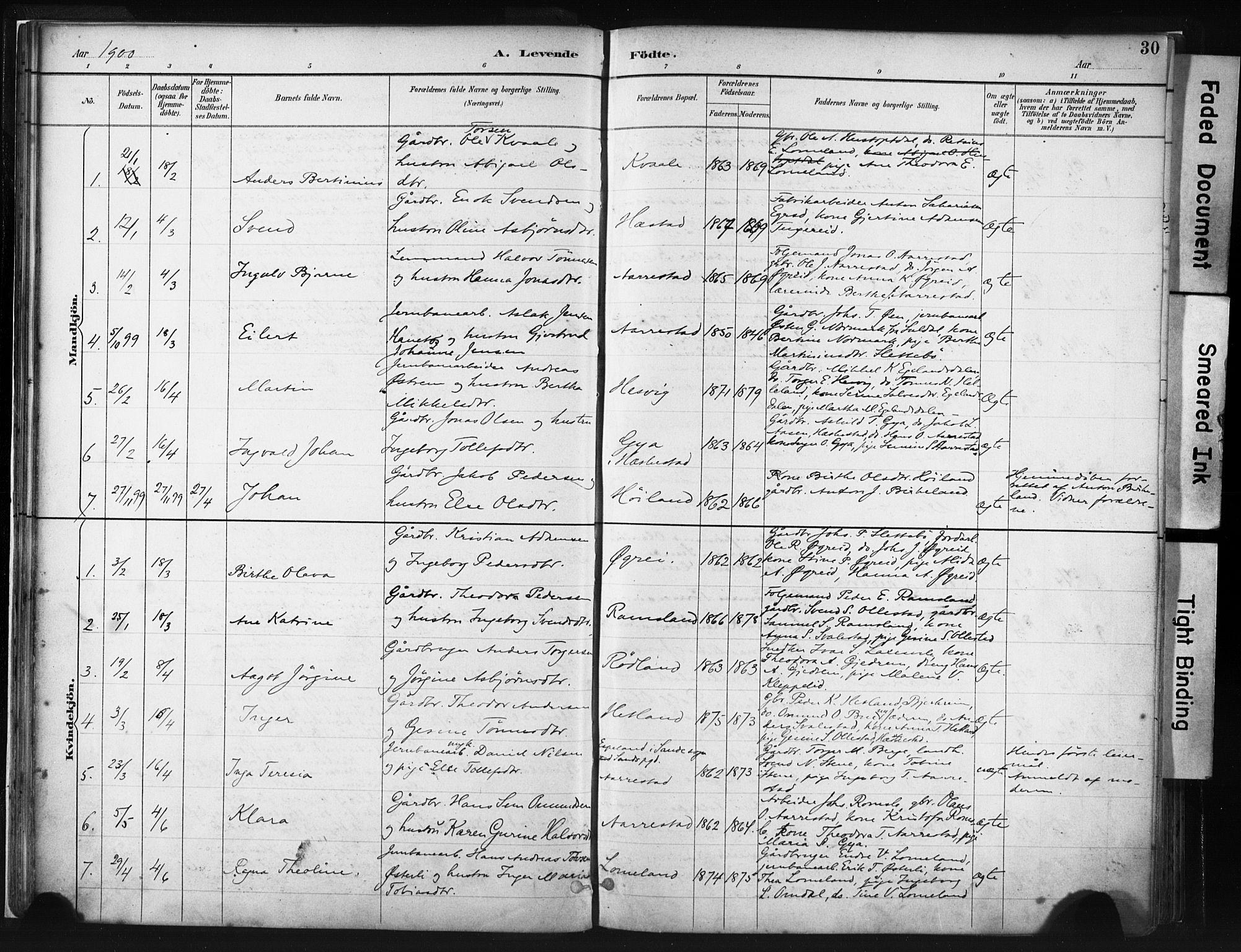 Helleland sokneprestkontor, SAST/A-101810: Parish register (official) no. A 8, 1887-1907, p. 30