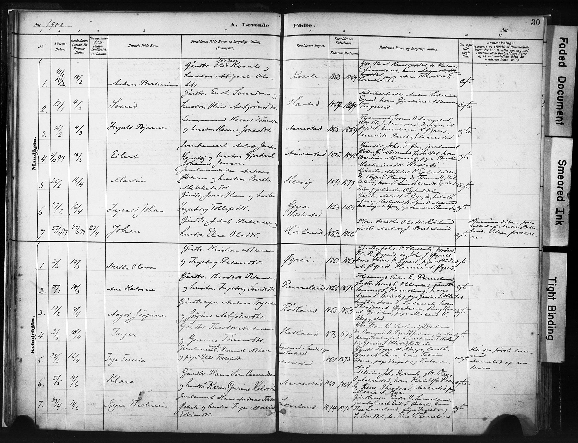 Helleland sokneprestkontor, AV/SAST-A-101810: Parish register (official) no. A 8, 1887-1907, p. 30