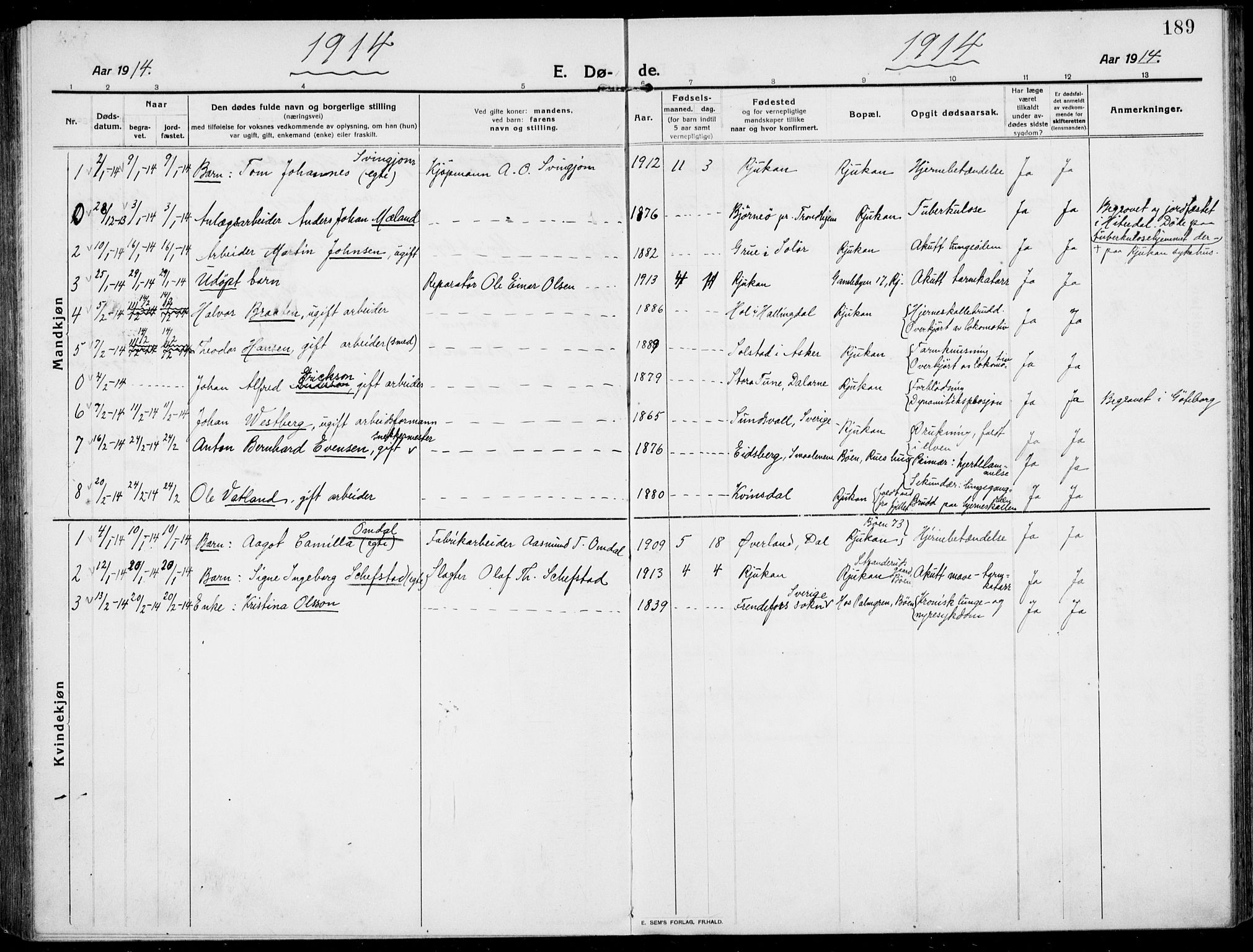 Rjukan kirkebøker, SAKO/A-294/F/Fa/L0002: Parish register (official) no. 2, 1912-1917, p. 189