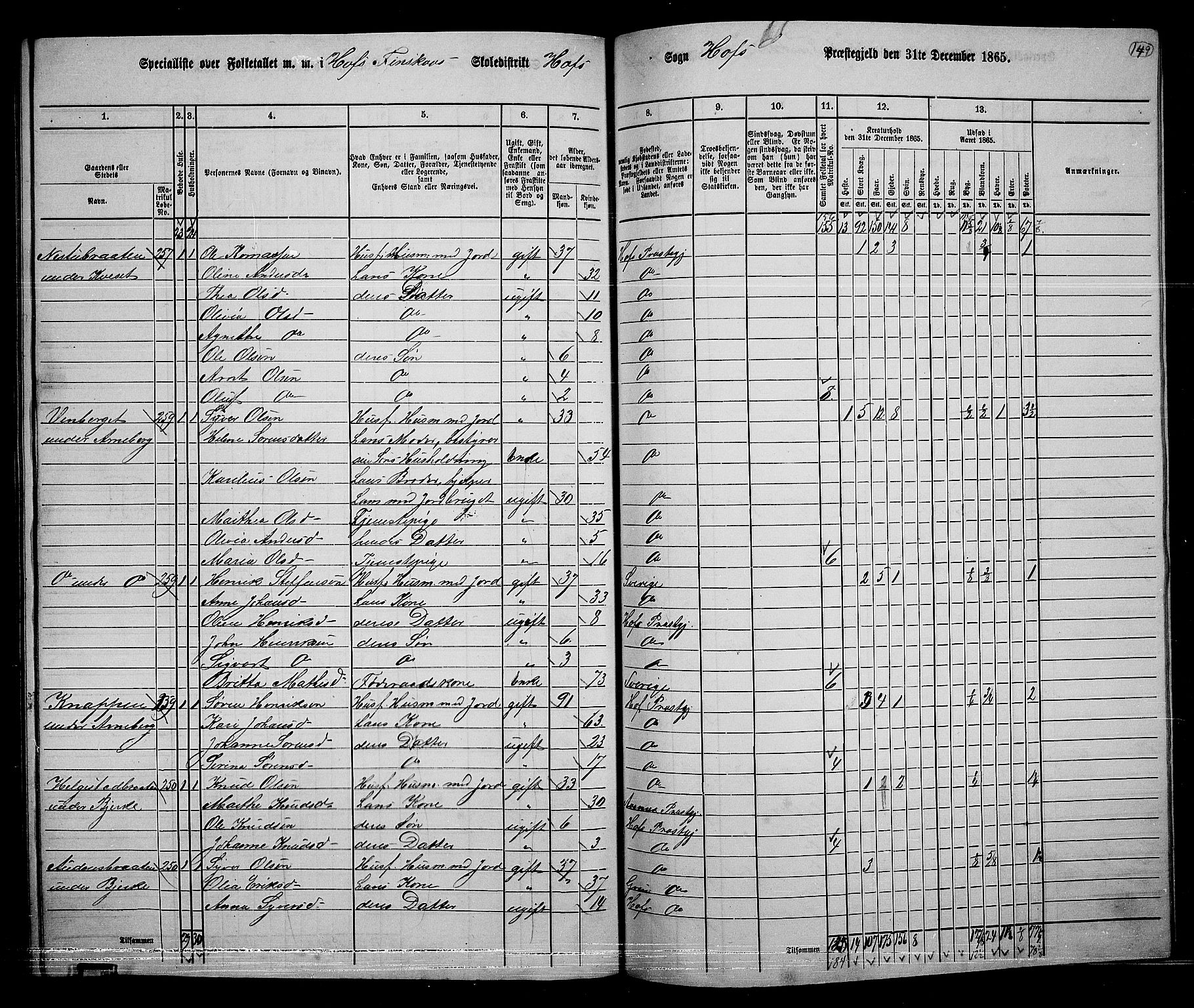 RA, 1865 census for Hof, 1865, p. 135