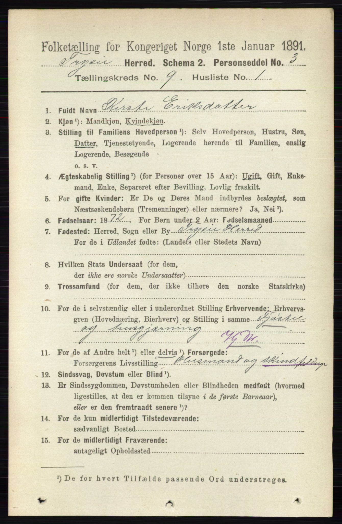 RA, 1891 census for 0428 Trysil, 1891, p. 4189