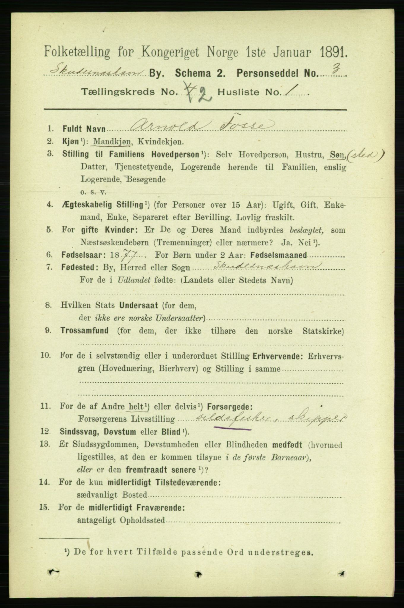 RA, 1891 census for 1104 Skudeneshavn, 1891, p. 531